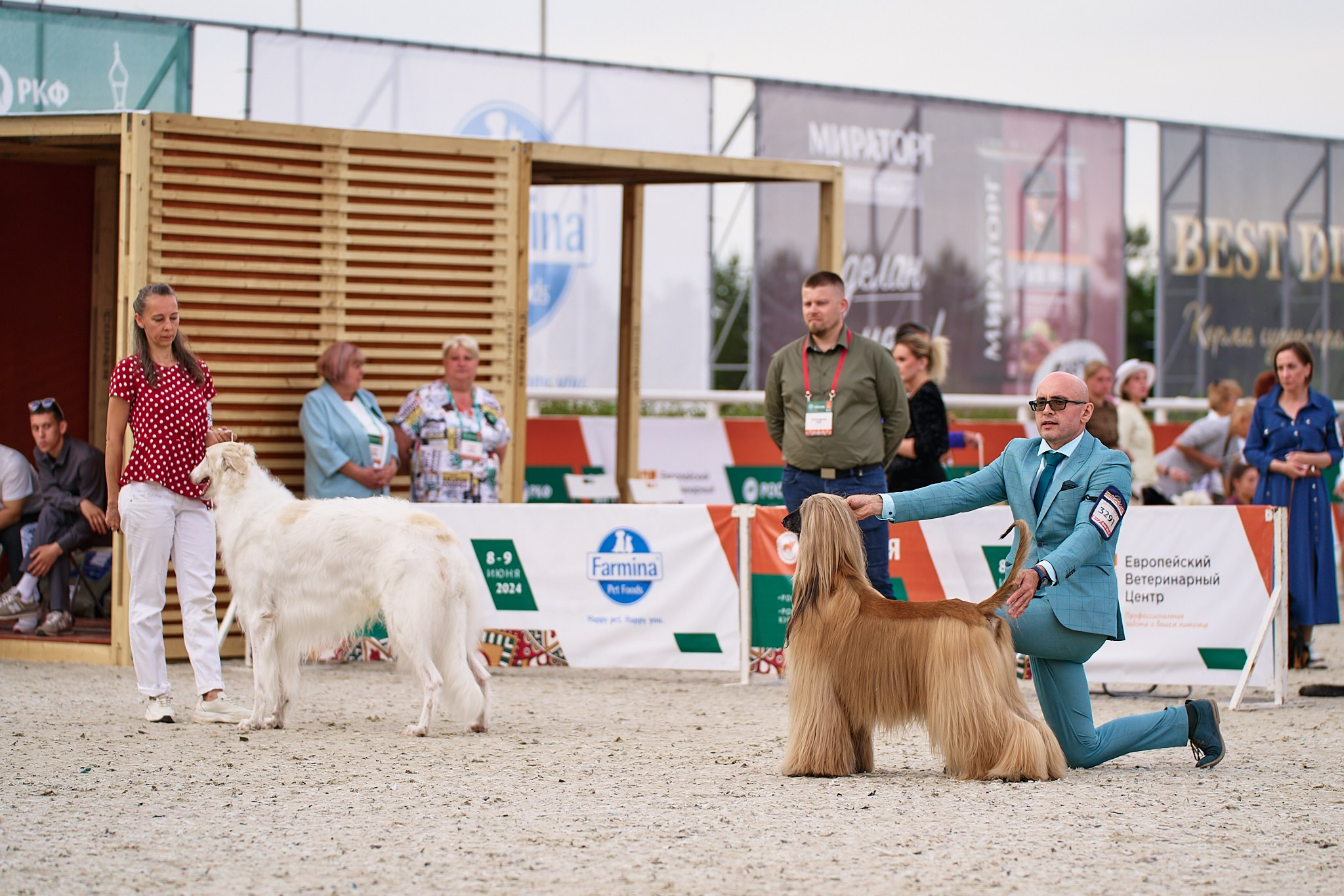 09.06.2024, «РОССИЯ. КУБОК МОСКВЫ 2024 & КУБОК ГОРОДОВ-ГЕРОЕВ»