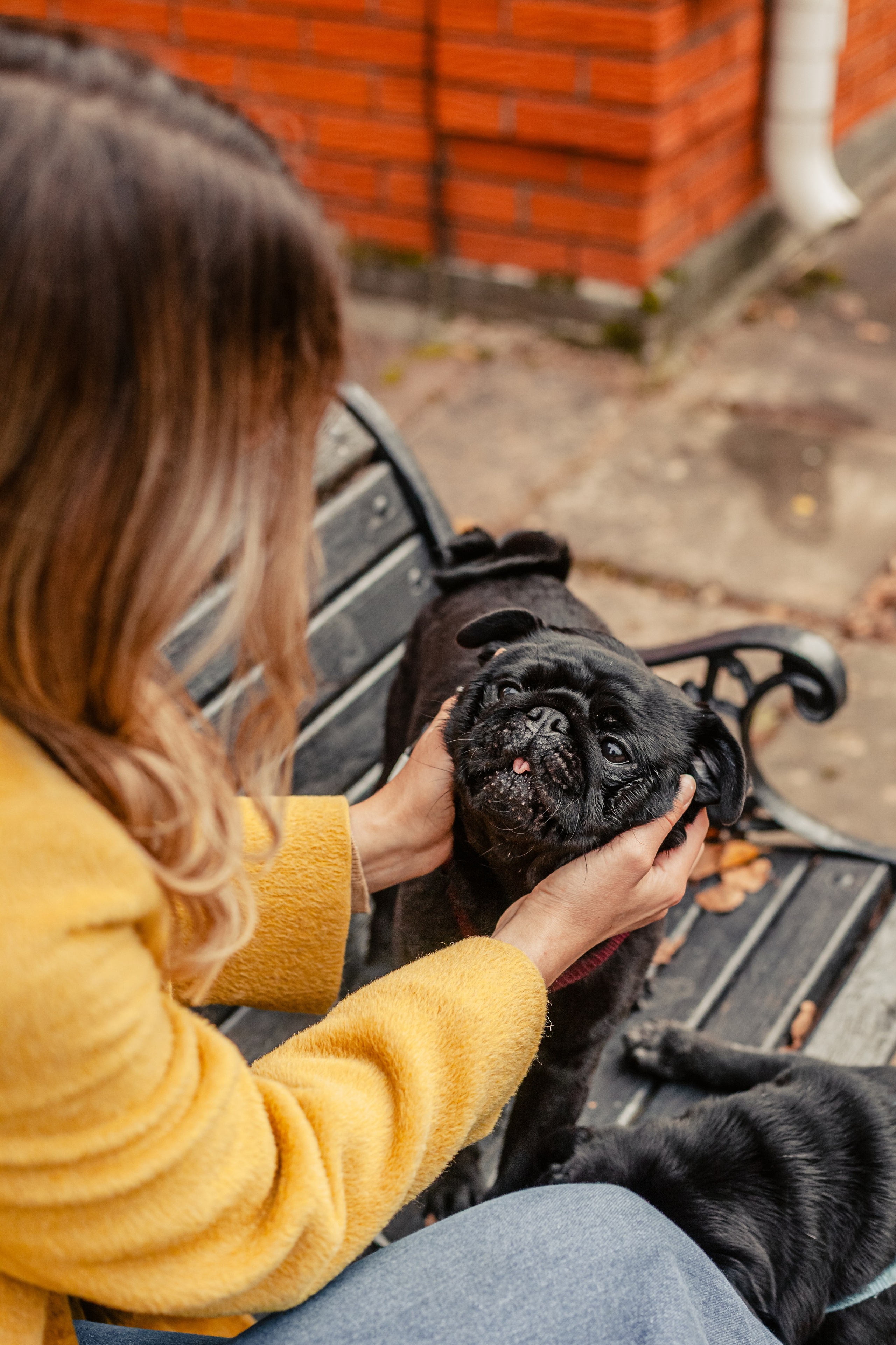 Оля, Харви, Луис. Фотограф-анималист Татьяна Степанова