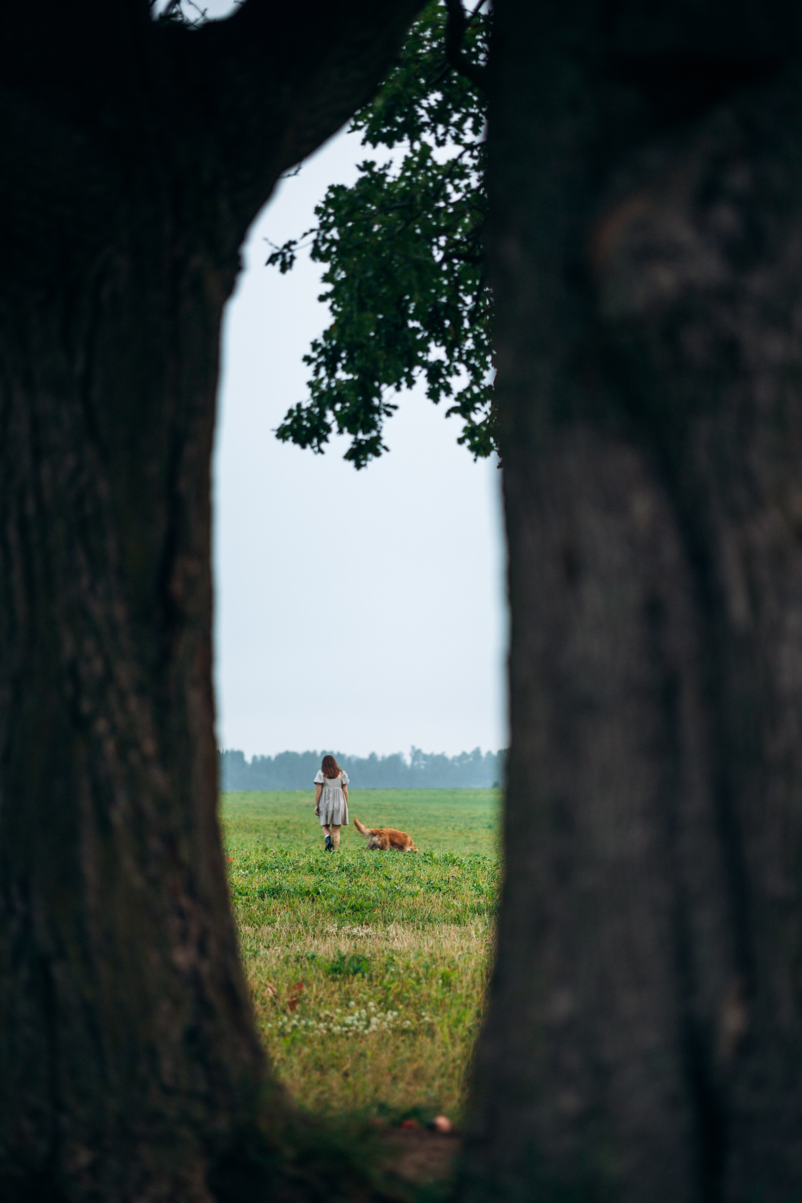 Аня и Ноллан. Фотограф — Анималист | Санкт-Петербург