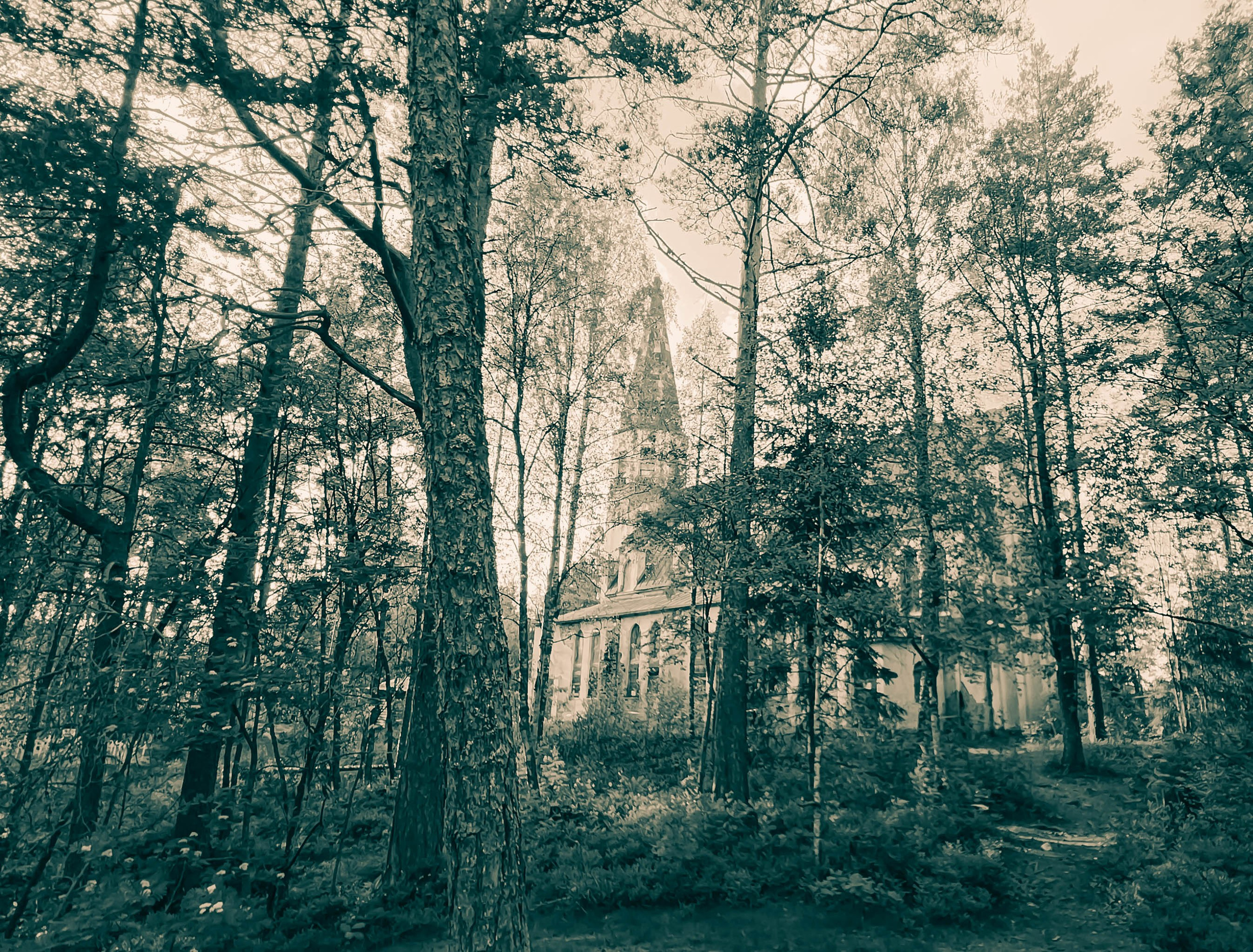 АЛЕКСЕЙ КОЛМАКОВ. Фотограф. Москва и Московская область