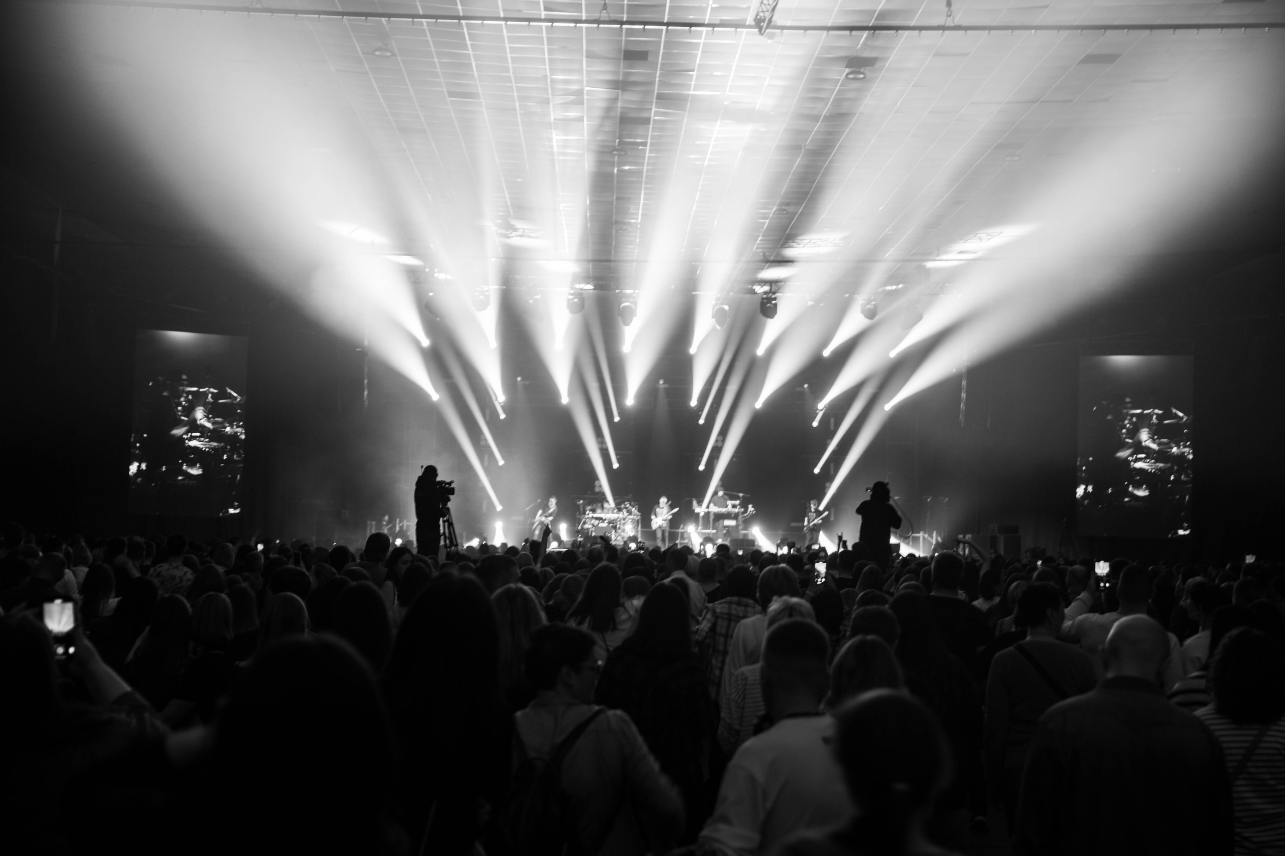 Звери. _Carpe diem_