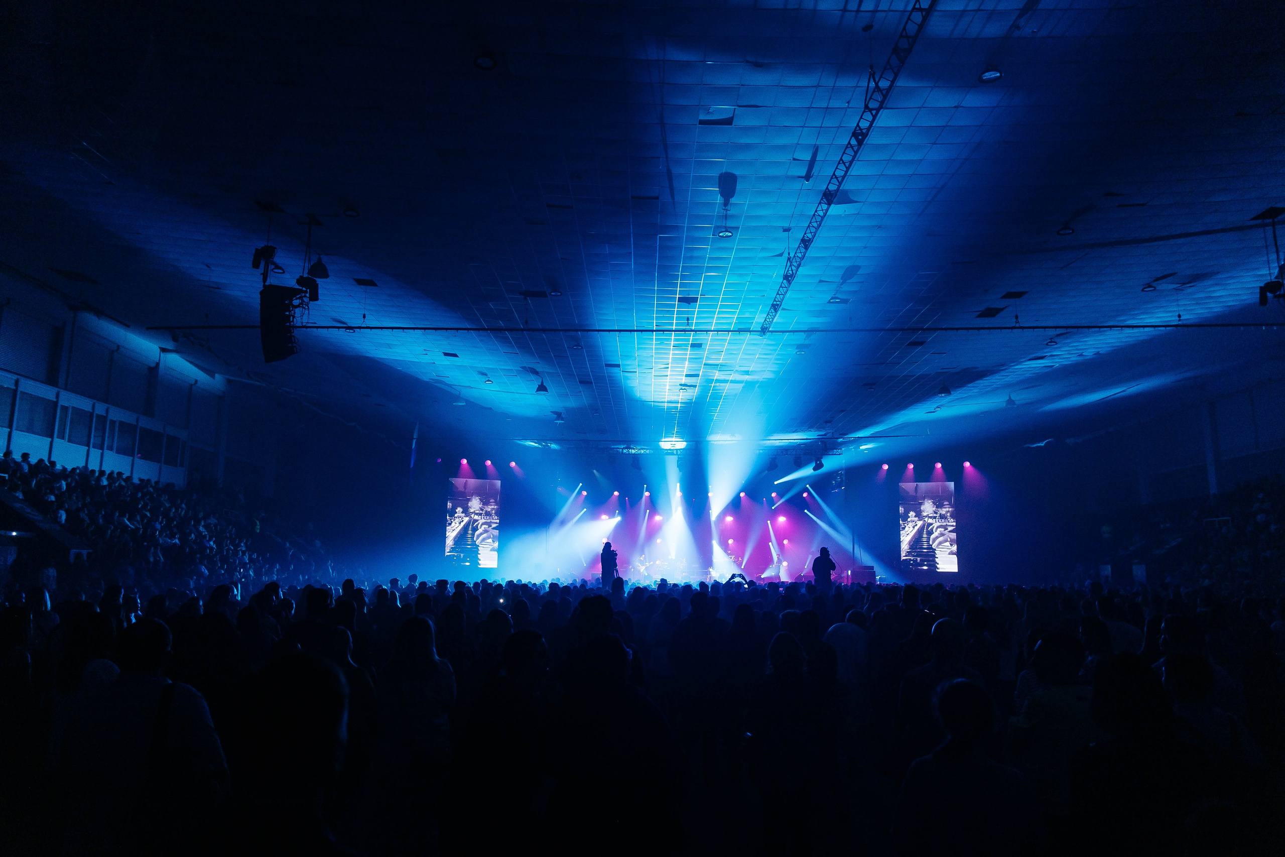 Звери. _Carpe diem_