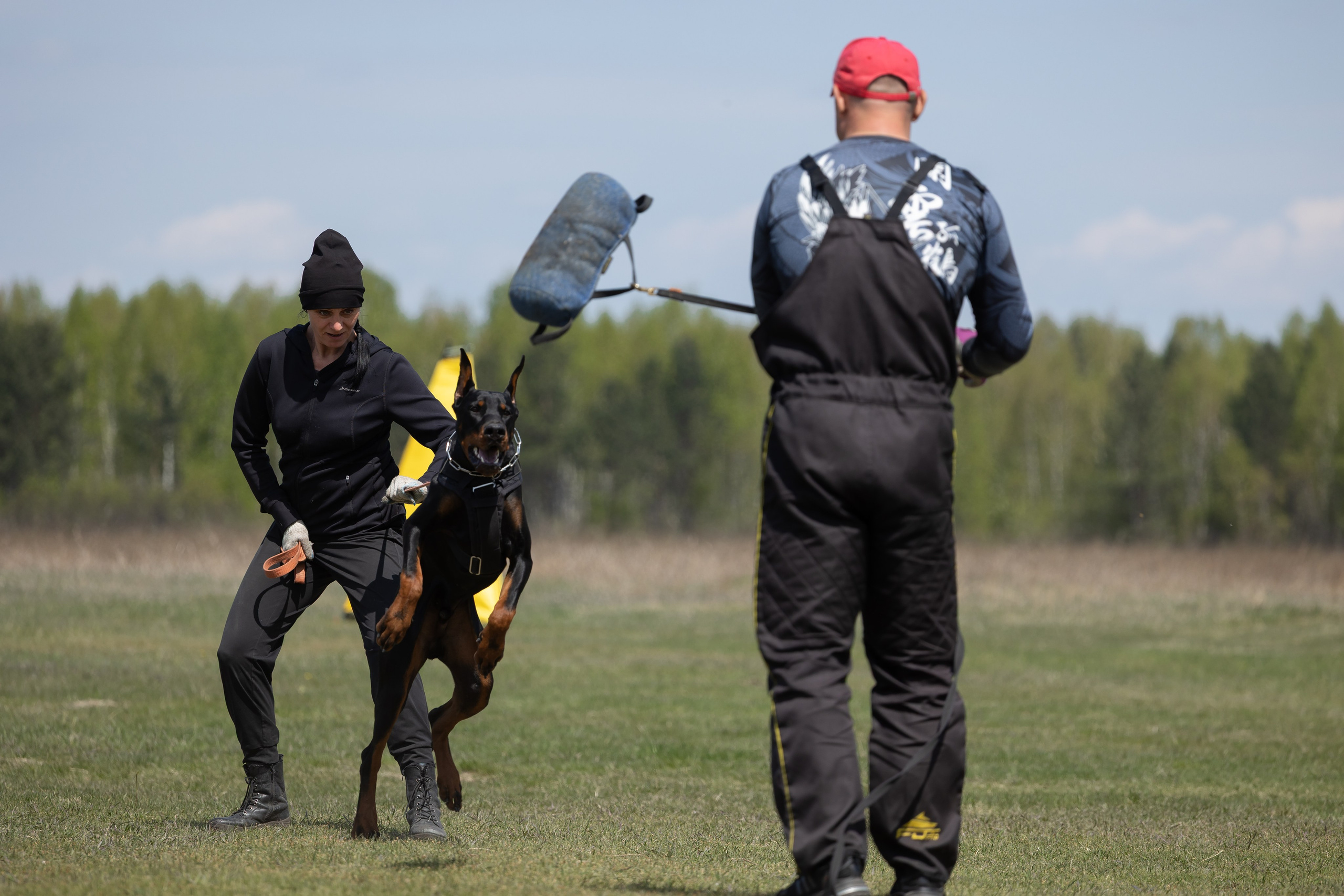 Тренинг по защите с Юрием Бояркиным г. Иркутск. Фотограф-анималист|Иркутск