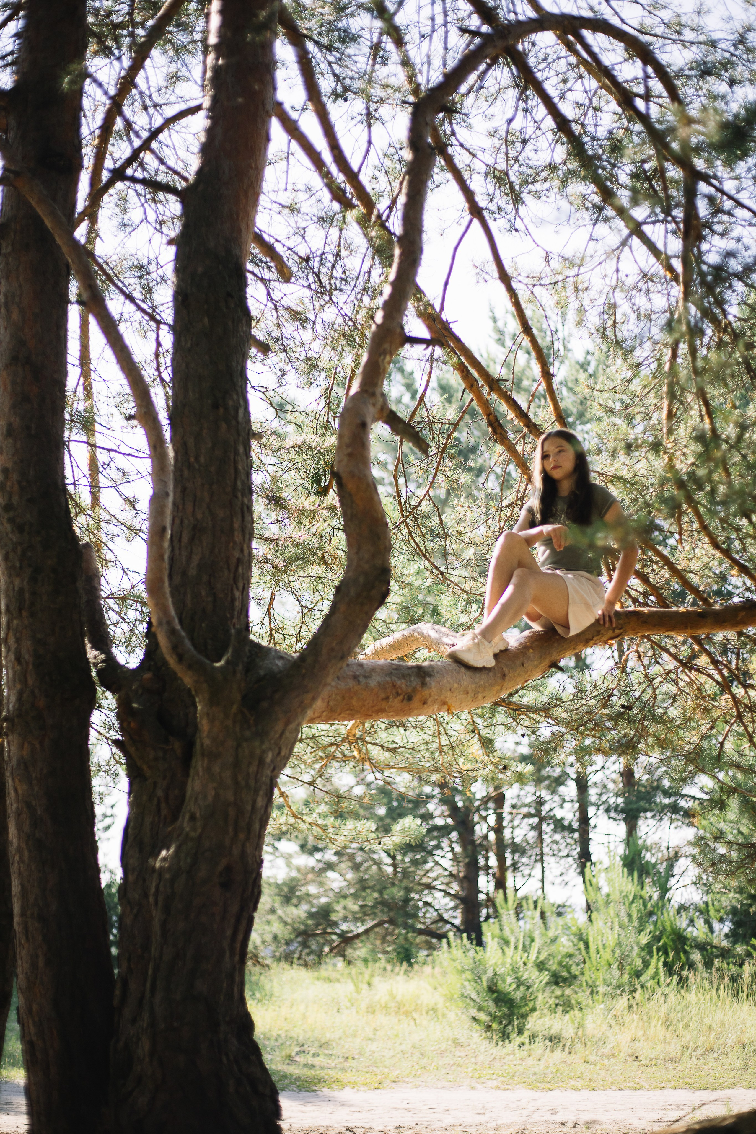 Семейное утро в сосновом лесу. Семейный фотограф в Томске Максимова Екатерина