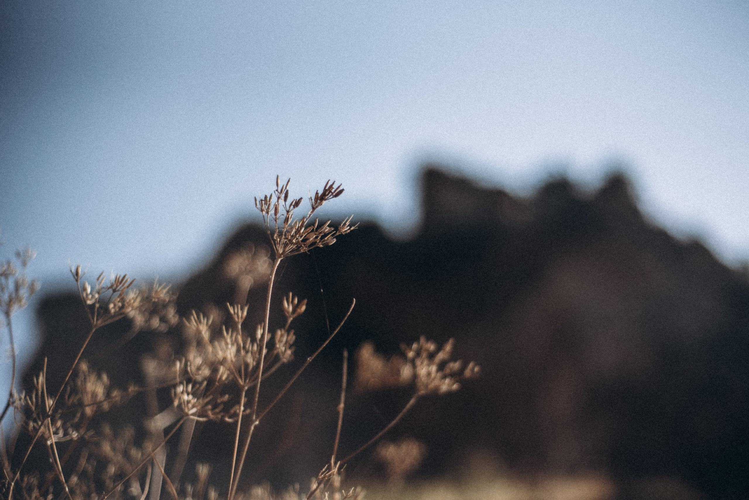 Казбег, Грузия 🇬🇪. Anita_photo