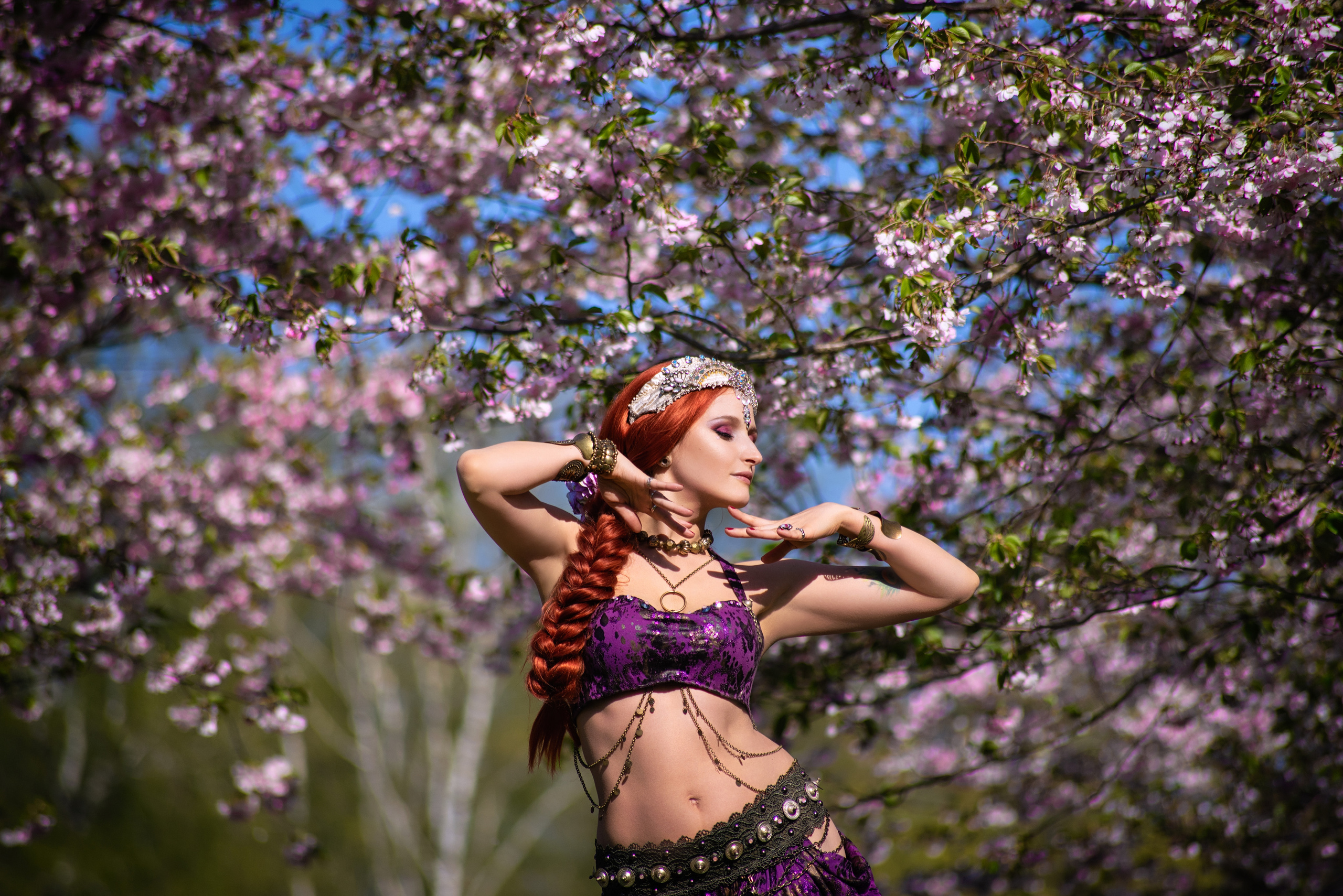 Elina Sakura Garden. Главная