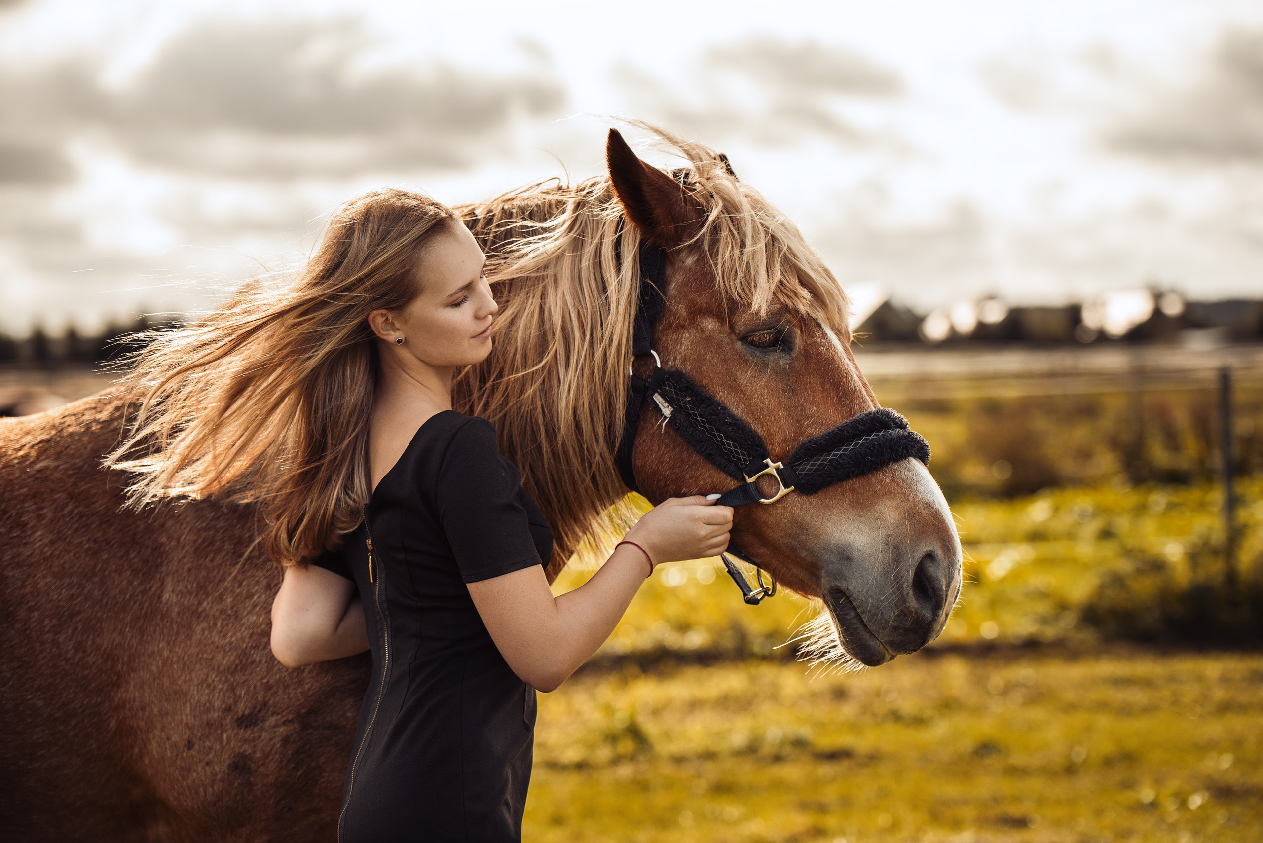 Anastasia Horse Farm. Главная
