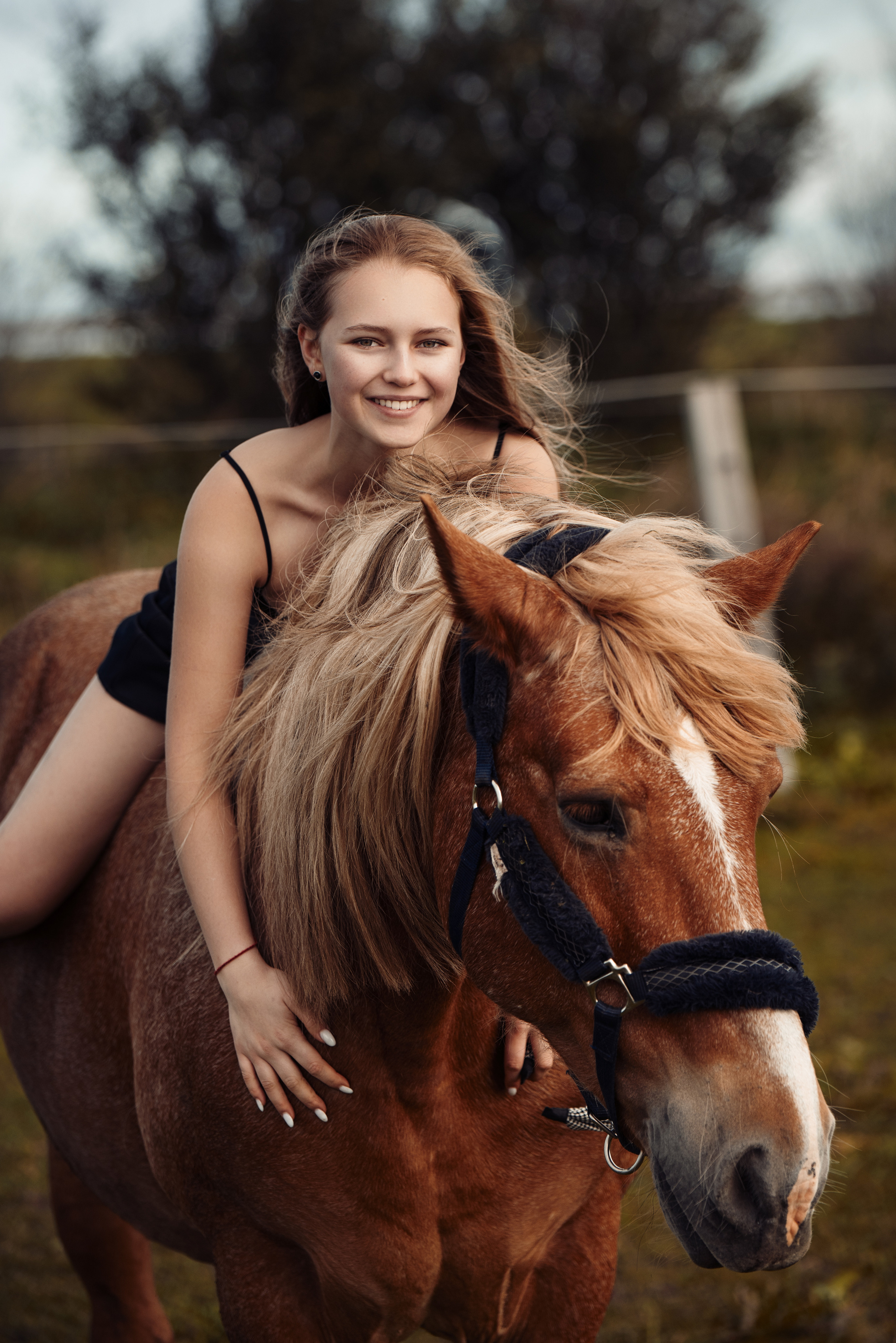 Anastasia Horse Farm. Главная