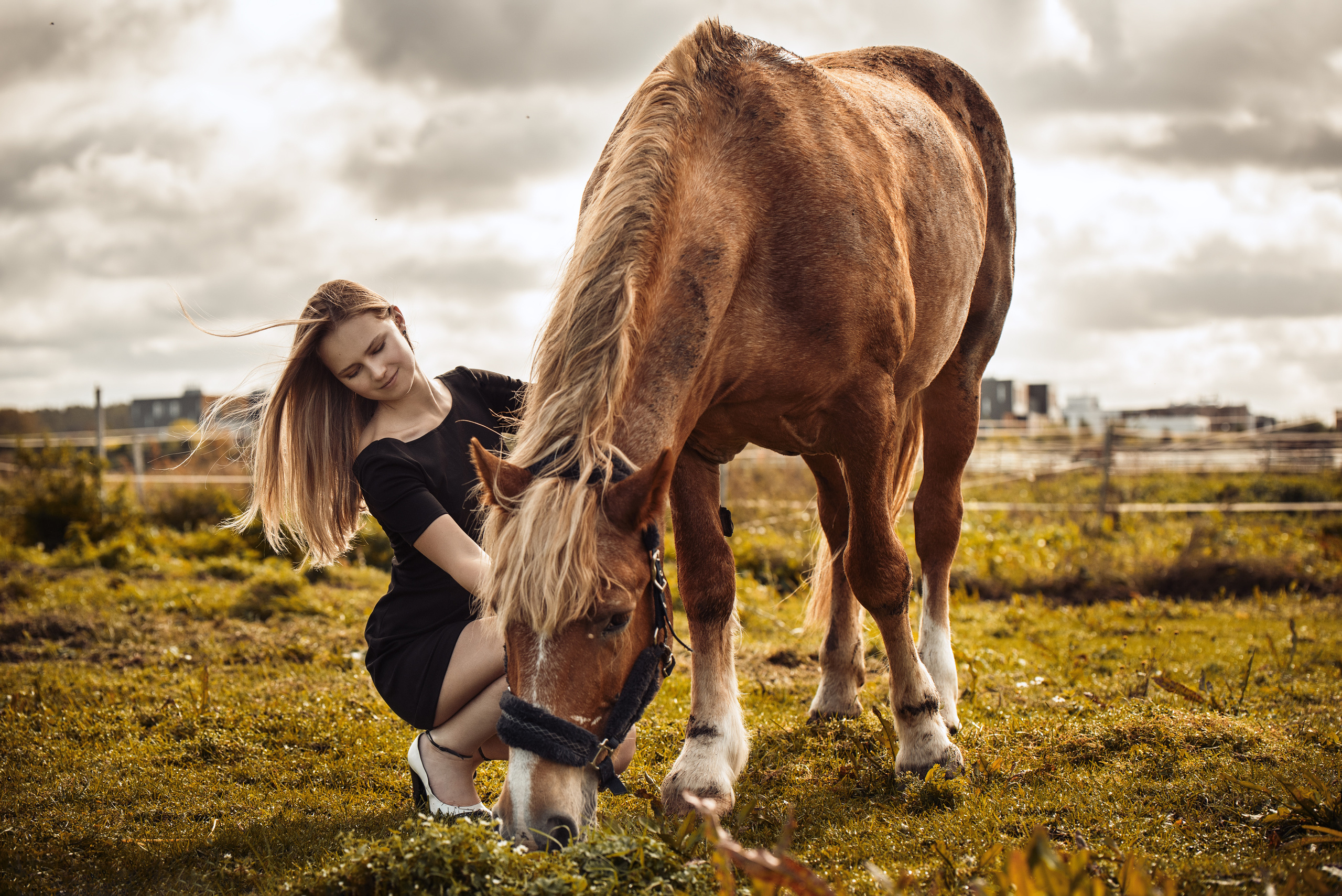 Anastasia Horse Farm. Главная