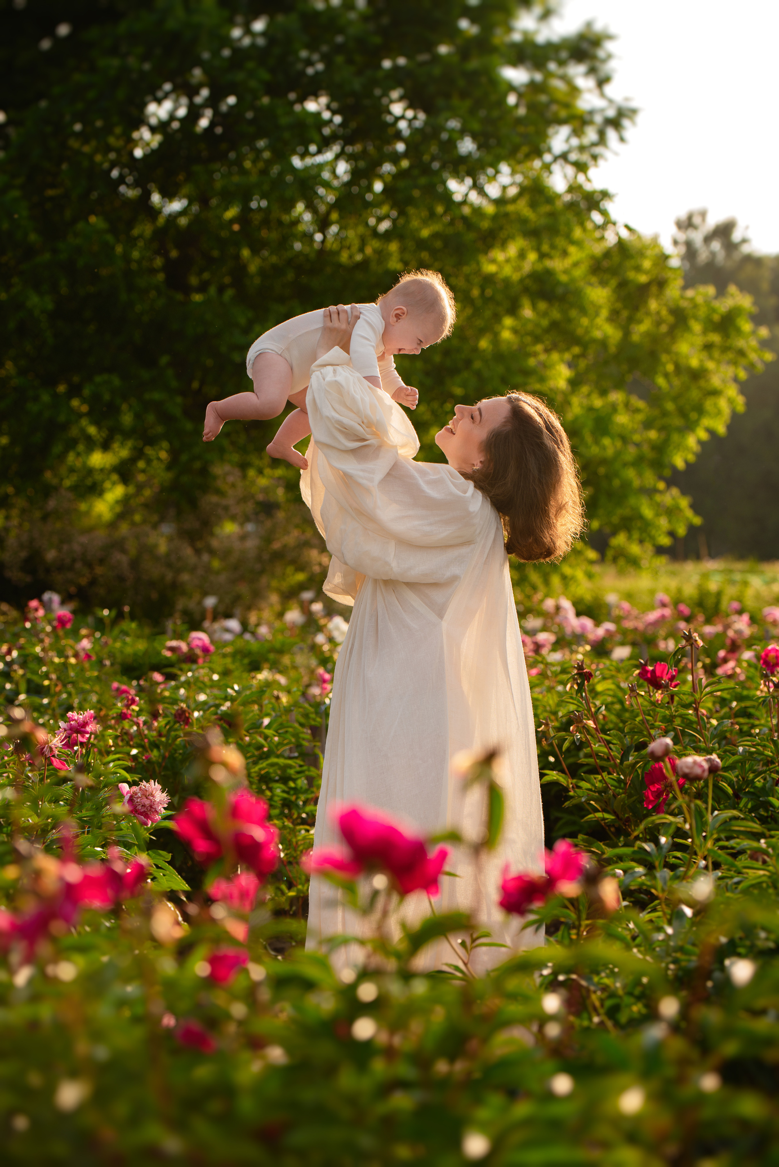 Irina Peony Garden. Главная