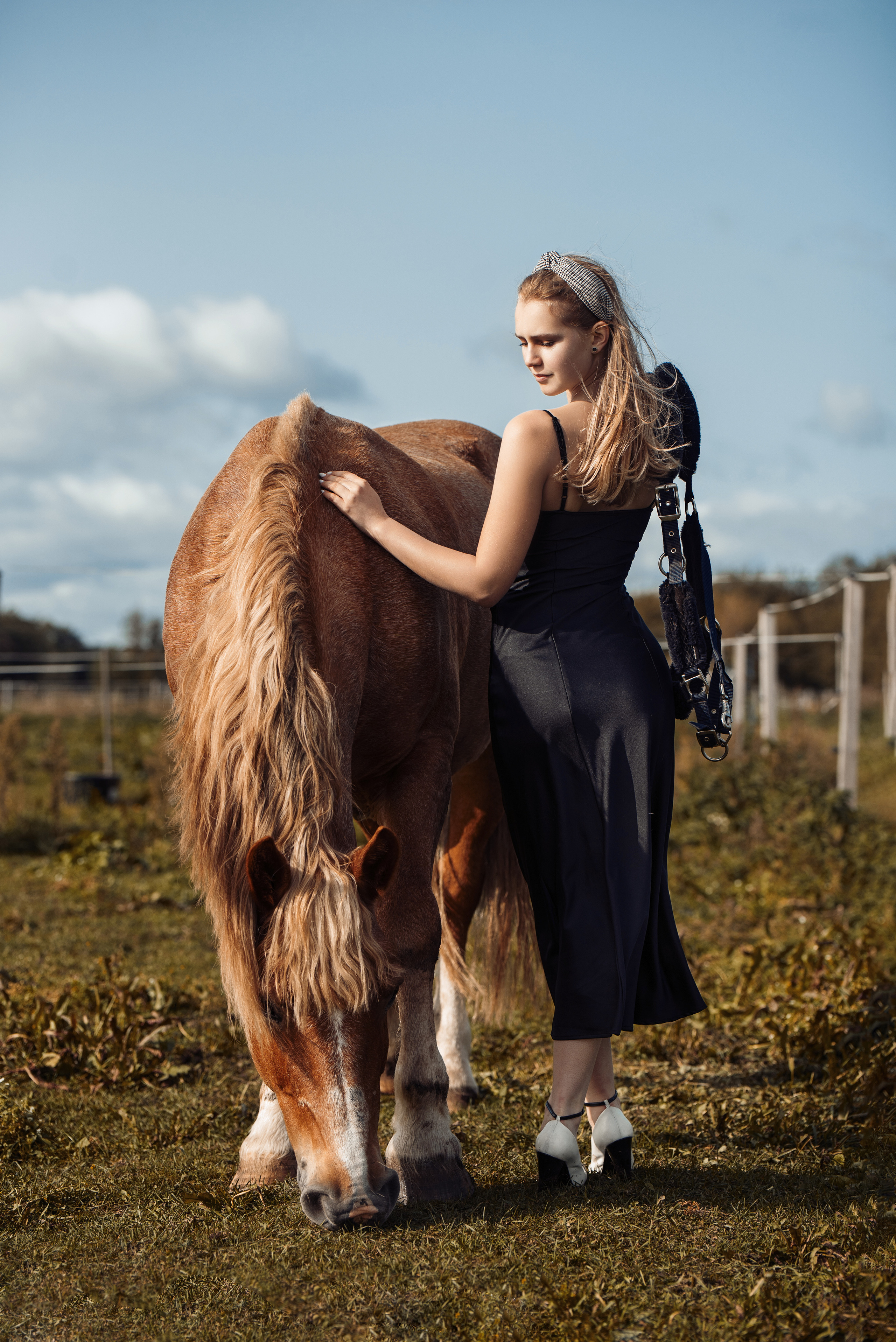 Anastasia Horse Farm. Главная