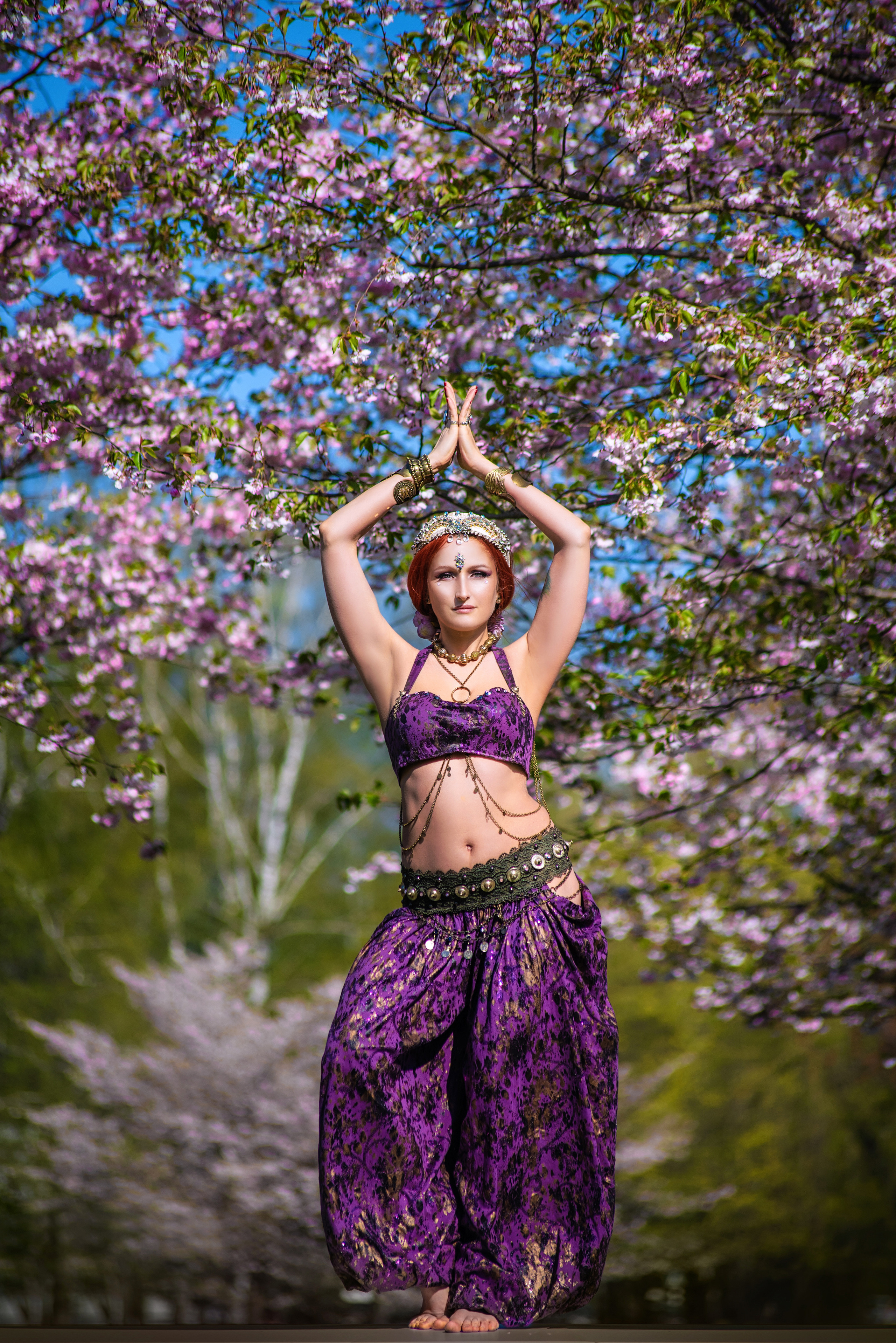 Elina Sakura Garden. Главная