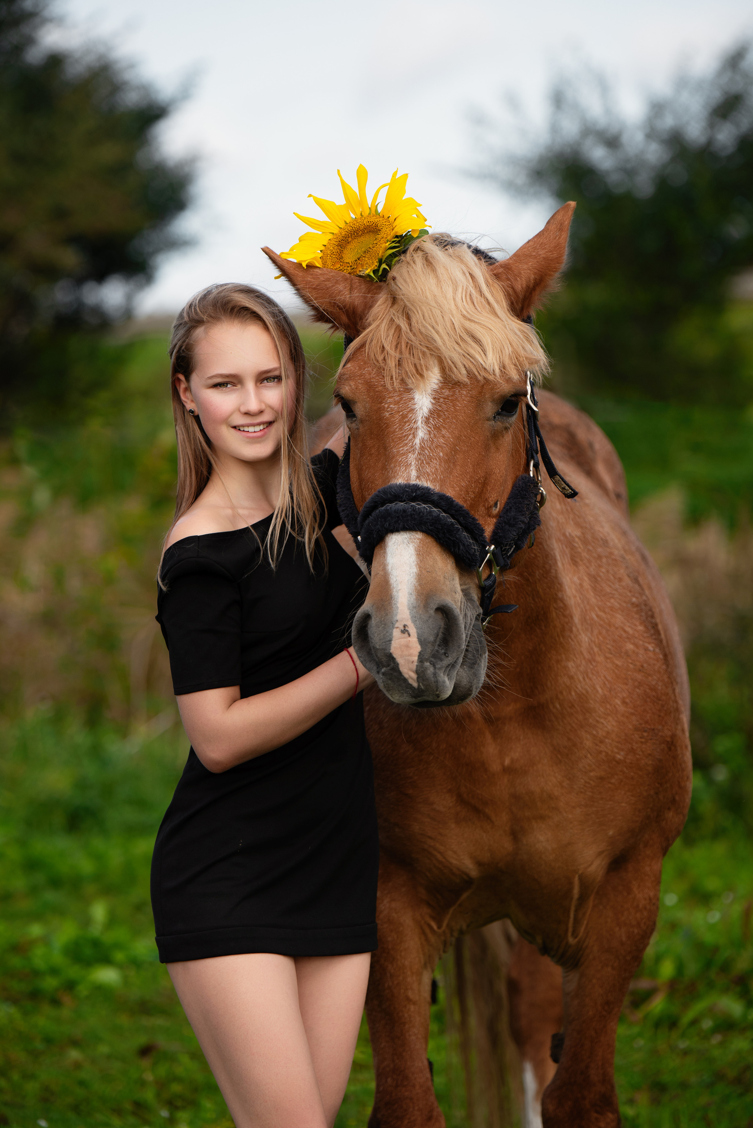 Anastasia Horse Farm. Главная