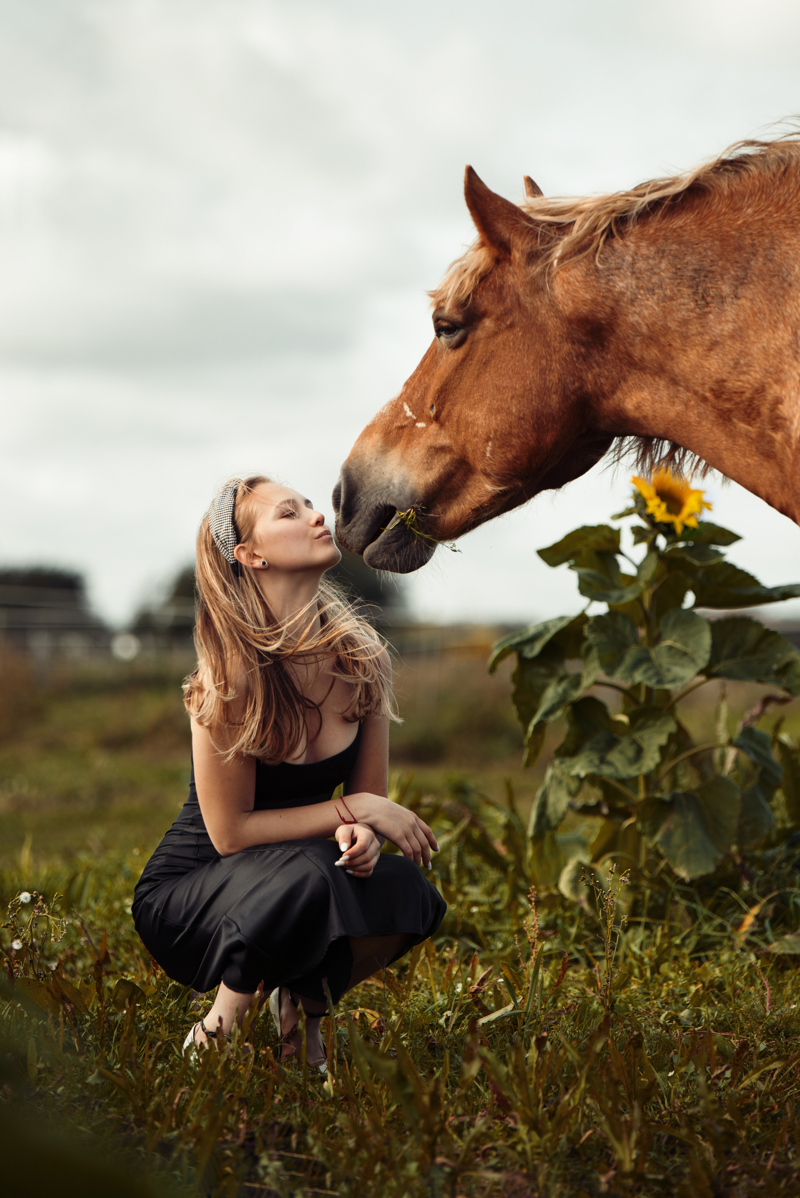 Anastasia Horse Farm. Главная