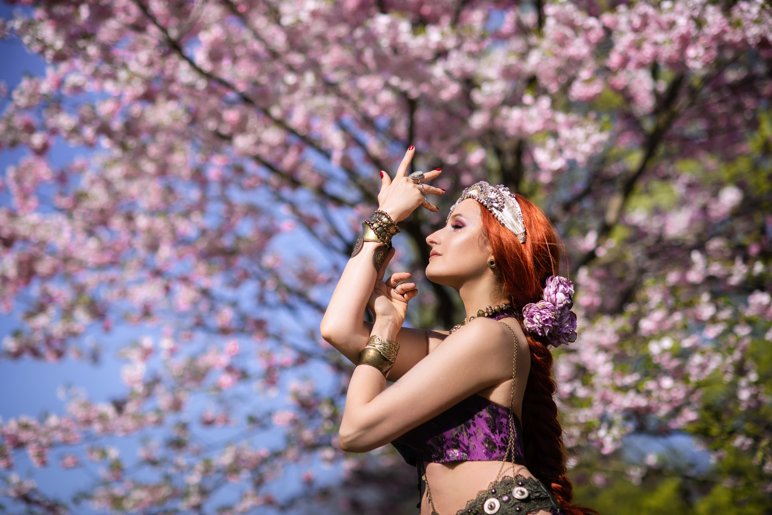 Elina Sakura Garden. Главная