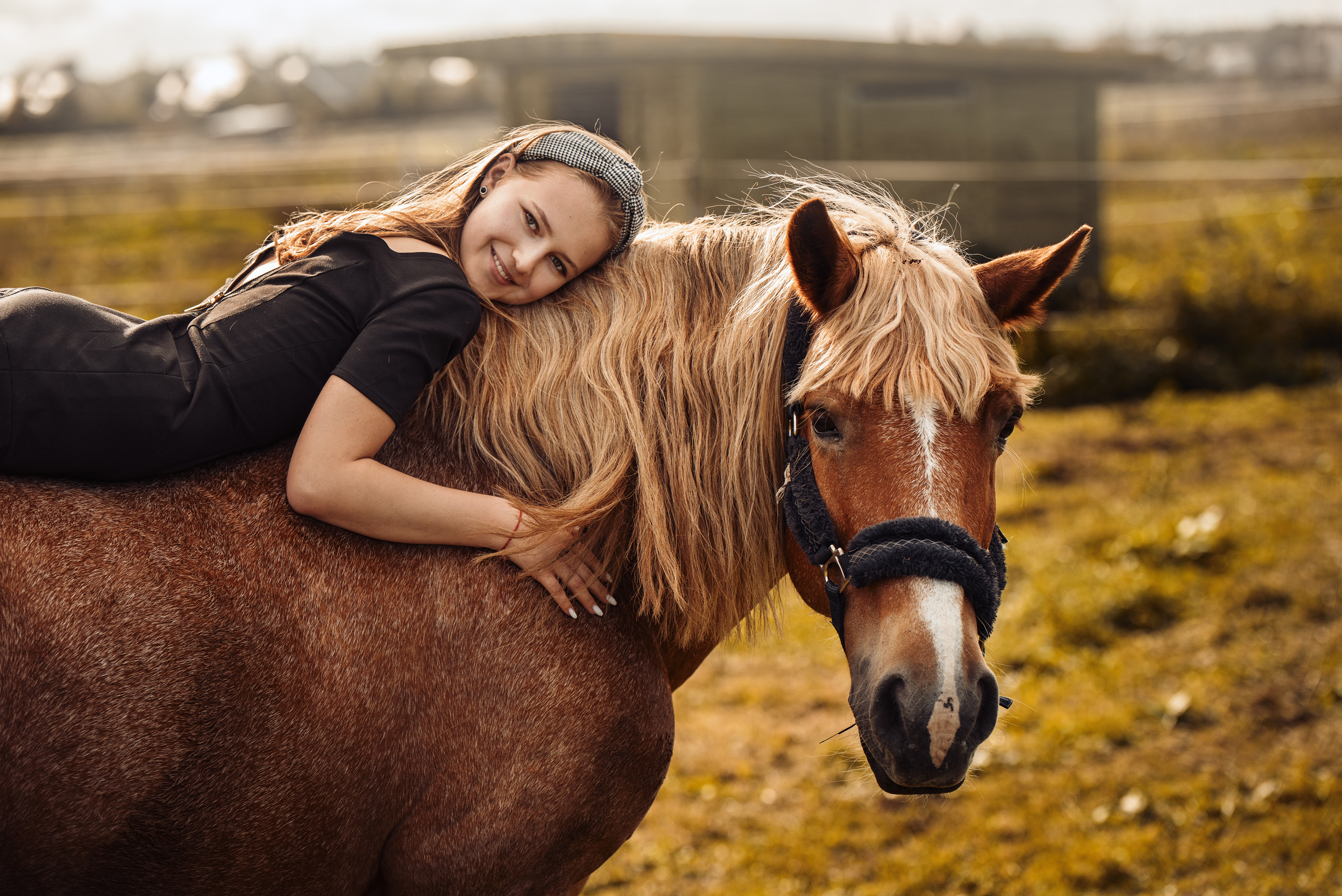 Anastasia Horse Farm. Главная