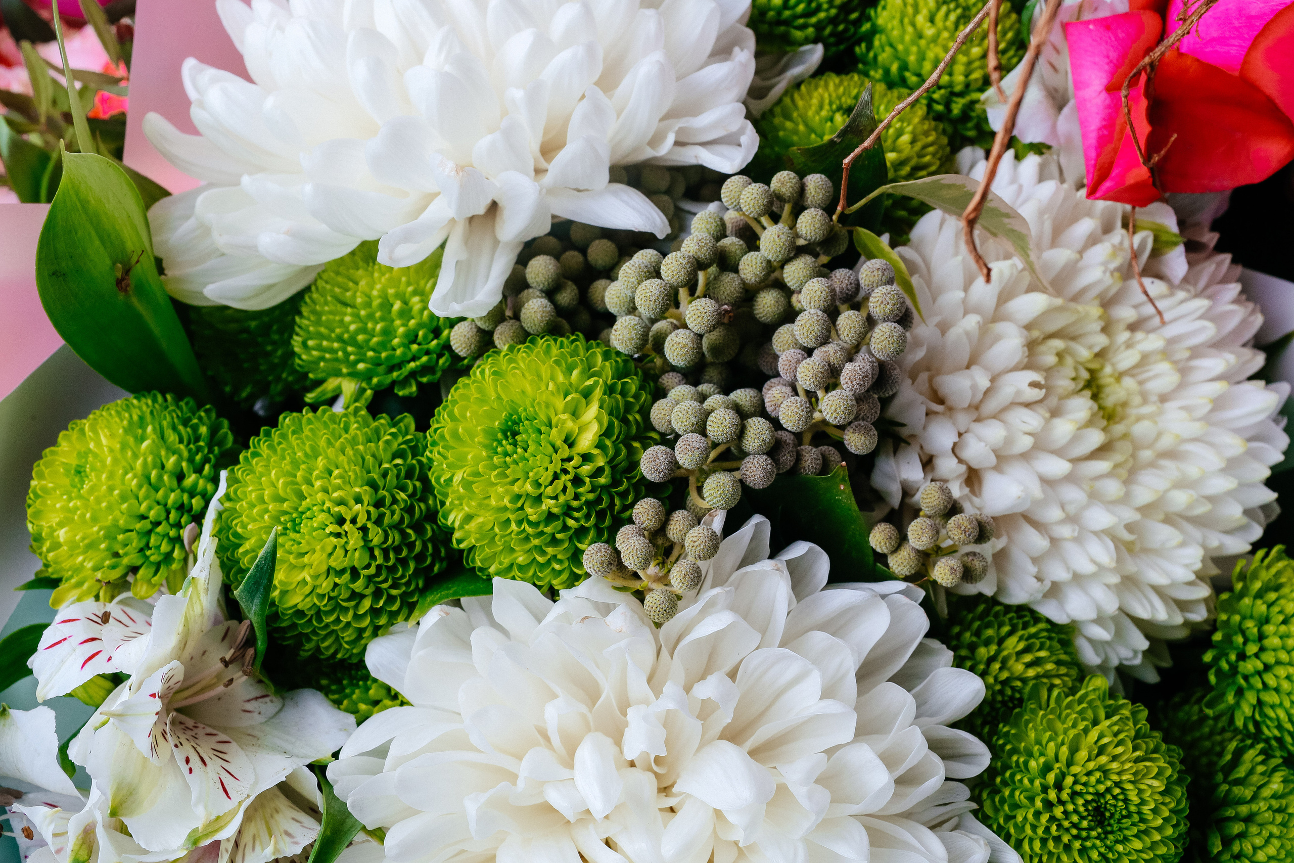 Маша и Андрей. Твой снимок СПб