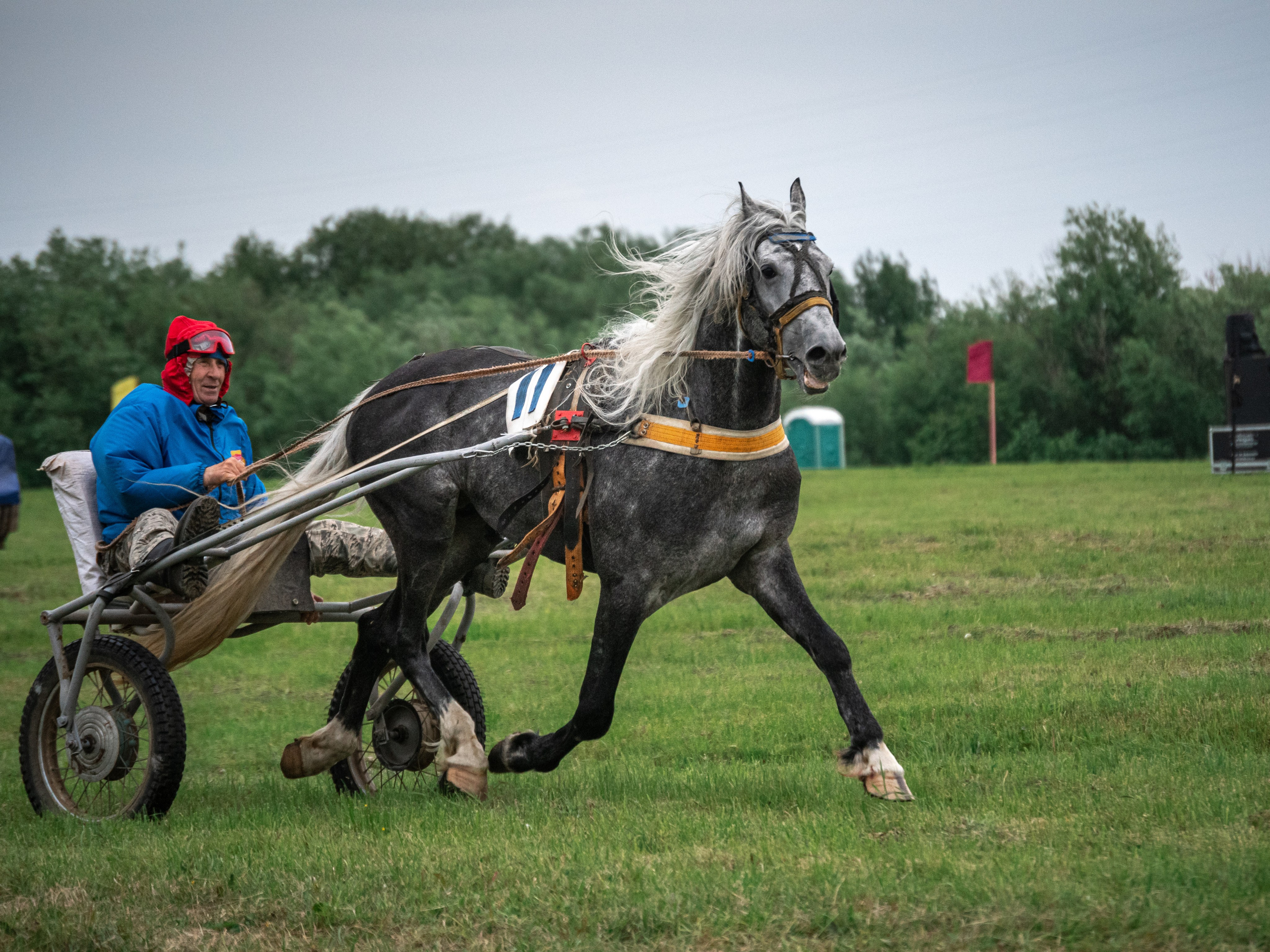 Луд 2023. Фотограф в с. Ижма Республика Коми Терентьев Сергей