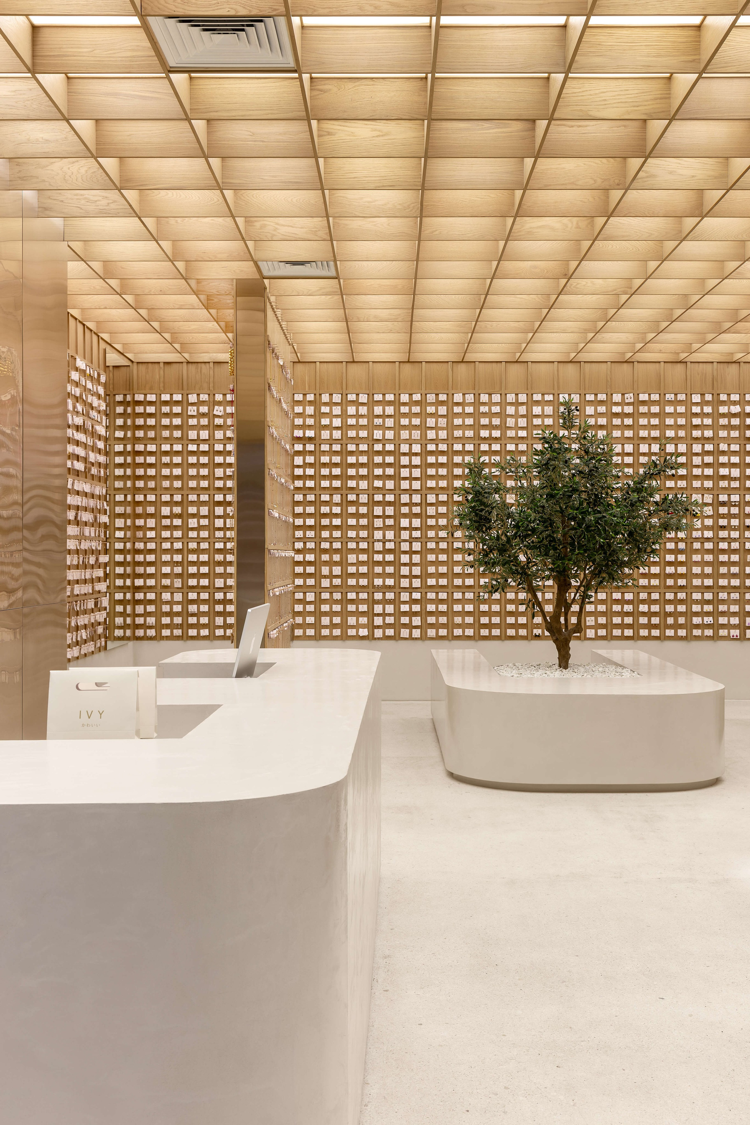 Volume Studia — IVY. Roman Yakunin — interior photographer in Almaty, Kazakhstan