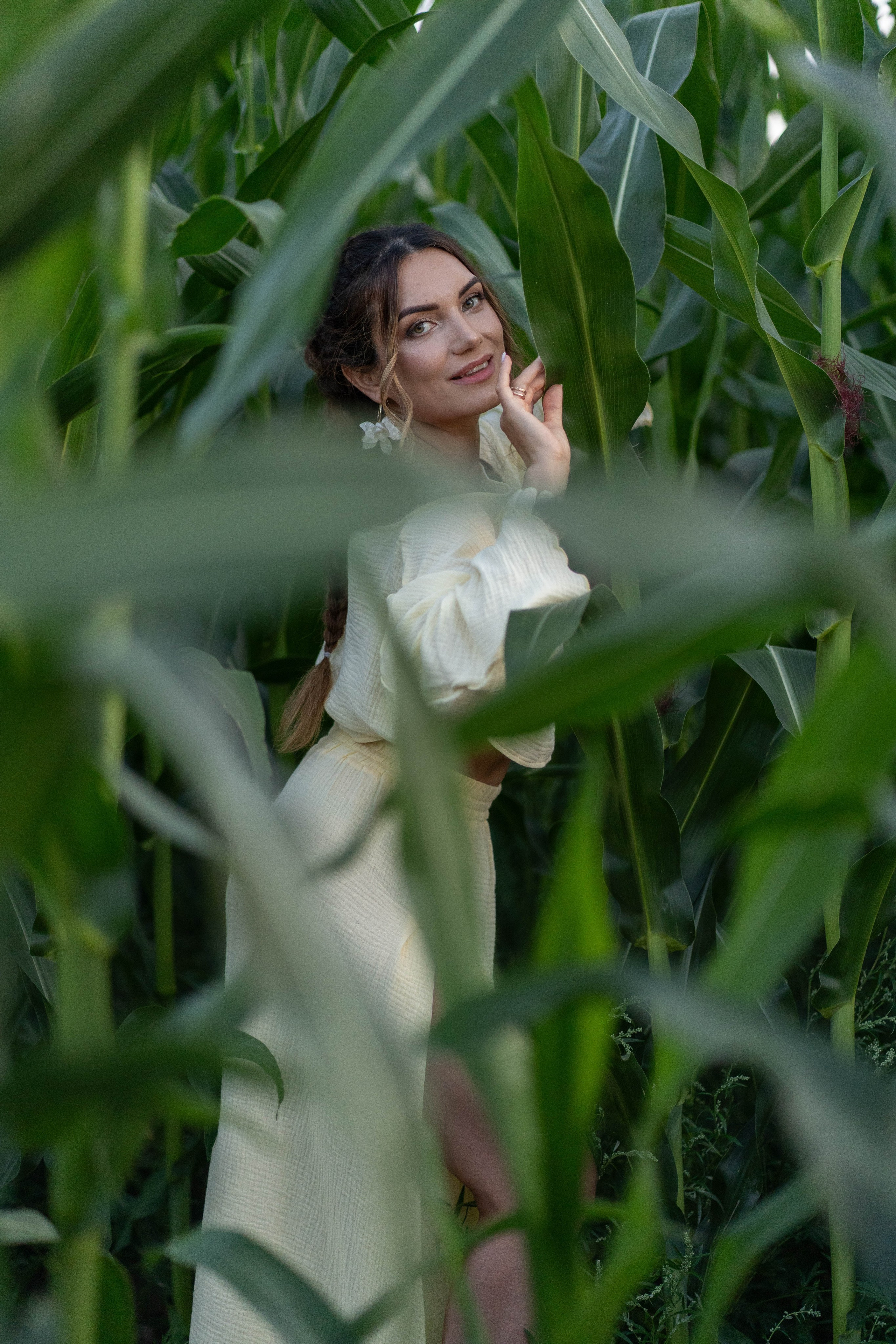 Кукурузное поле. Главная