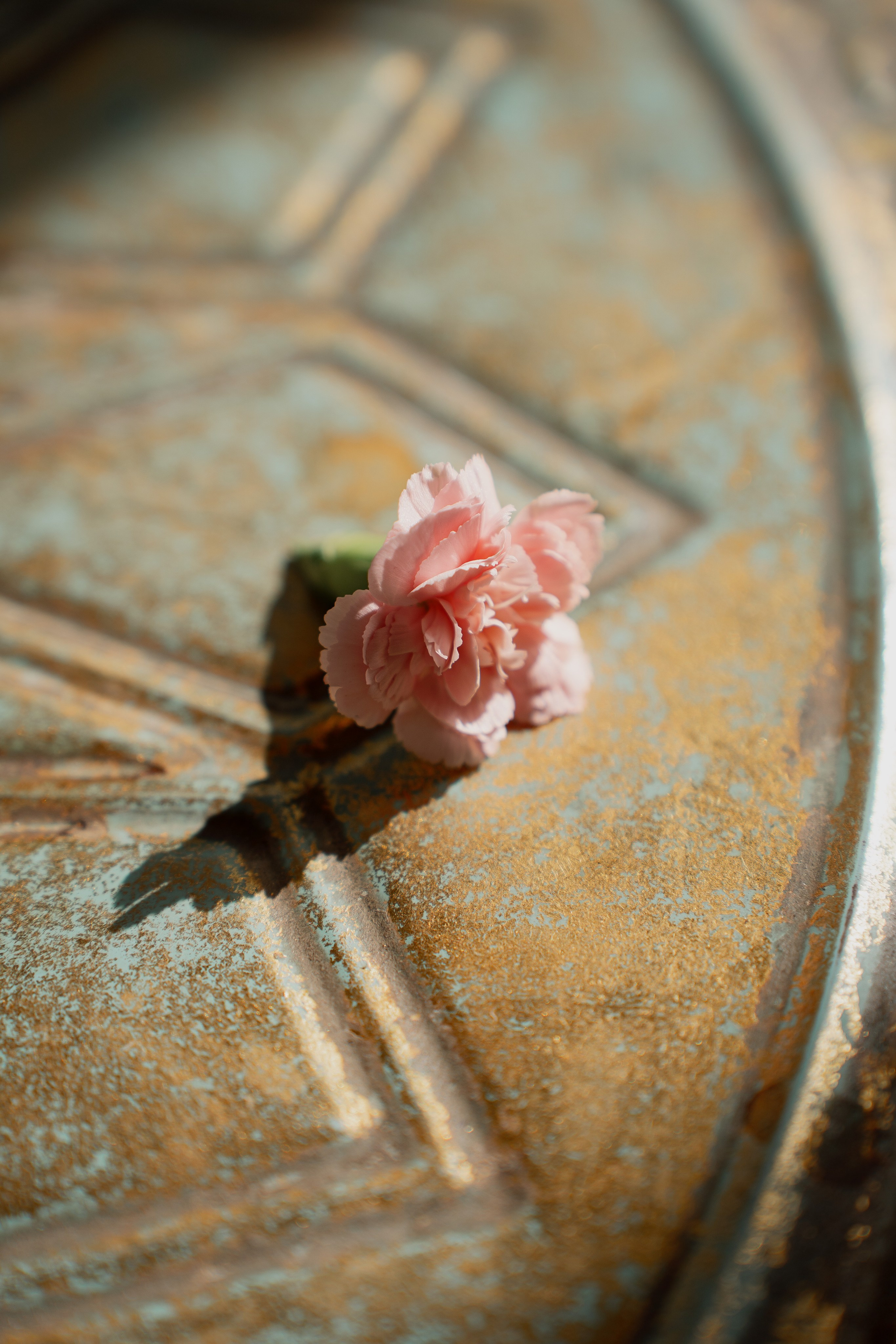 Aya & Mert. İrandek. Fotoğrafçı. İzmir