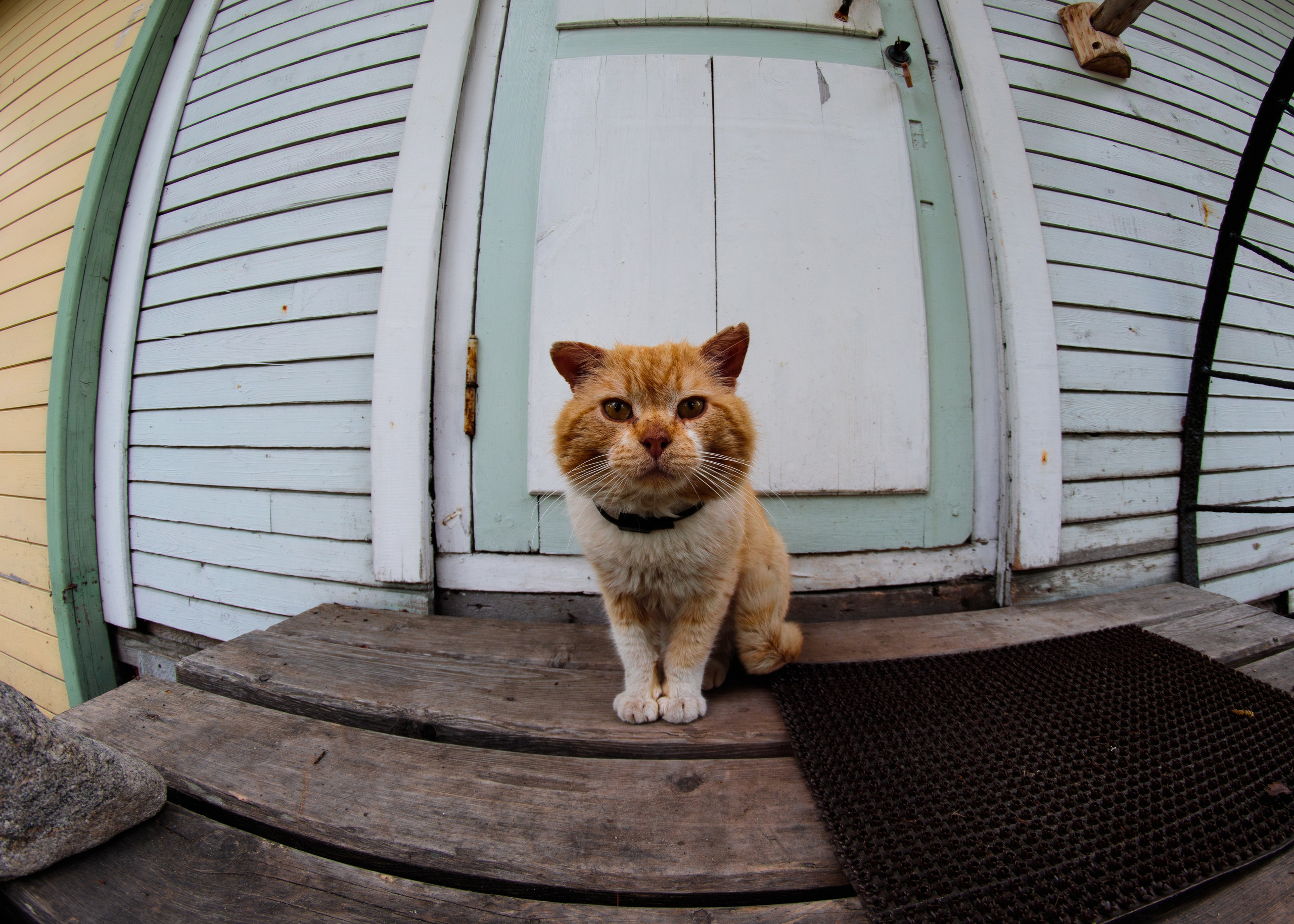 И вокруг меня. Портретный и концертный фотограф в Санкт-Петербурге Егор Телятников