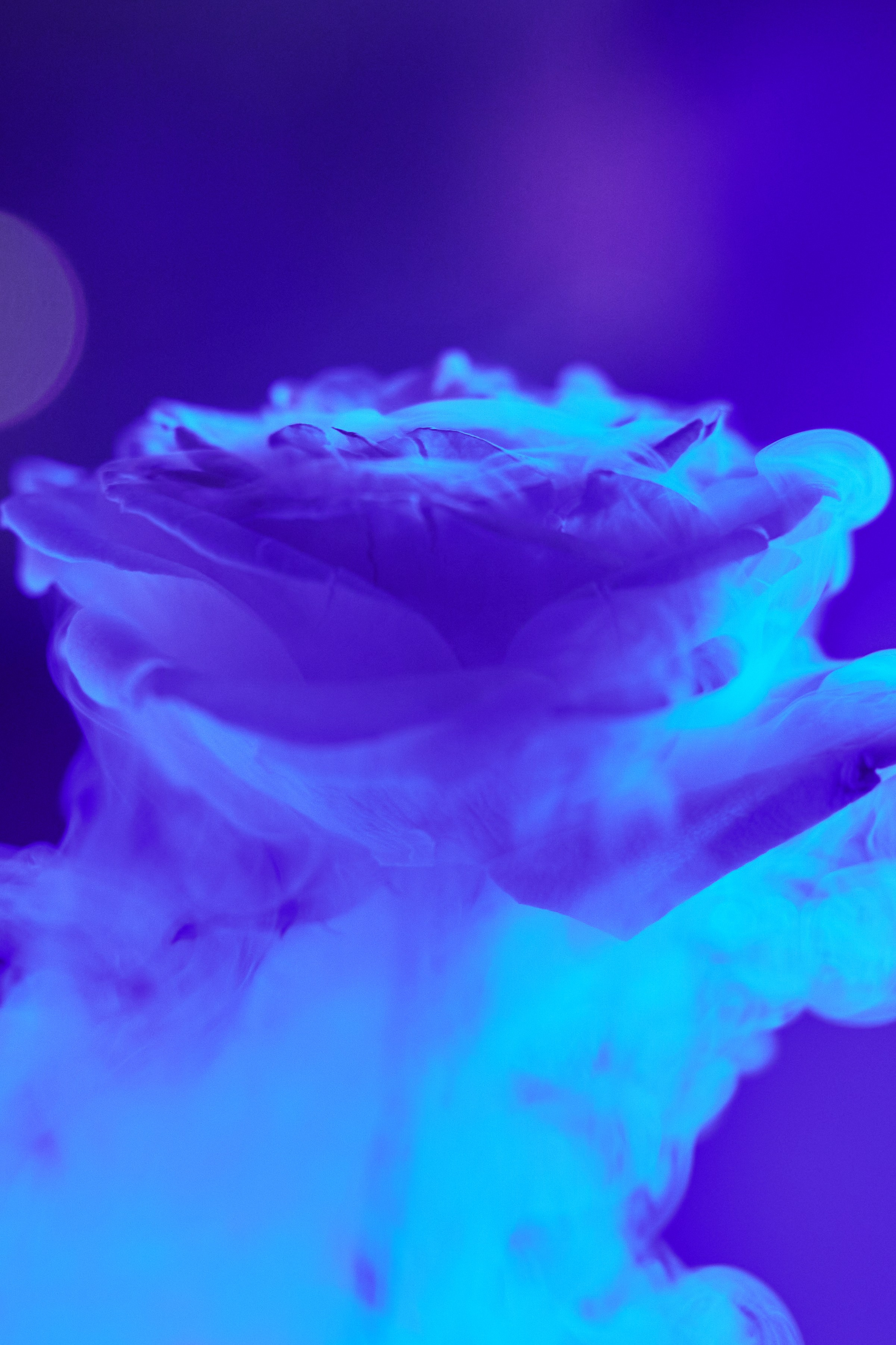 Сергей и Алина. Фотограф Айвазова Наталья Краснодар