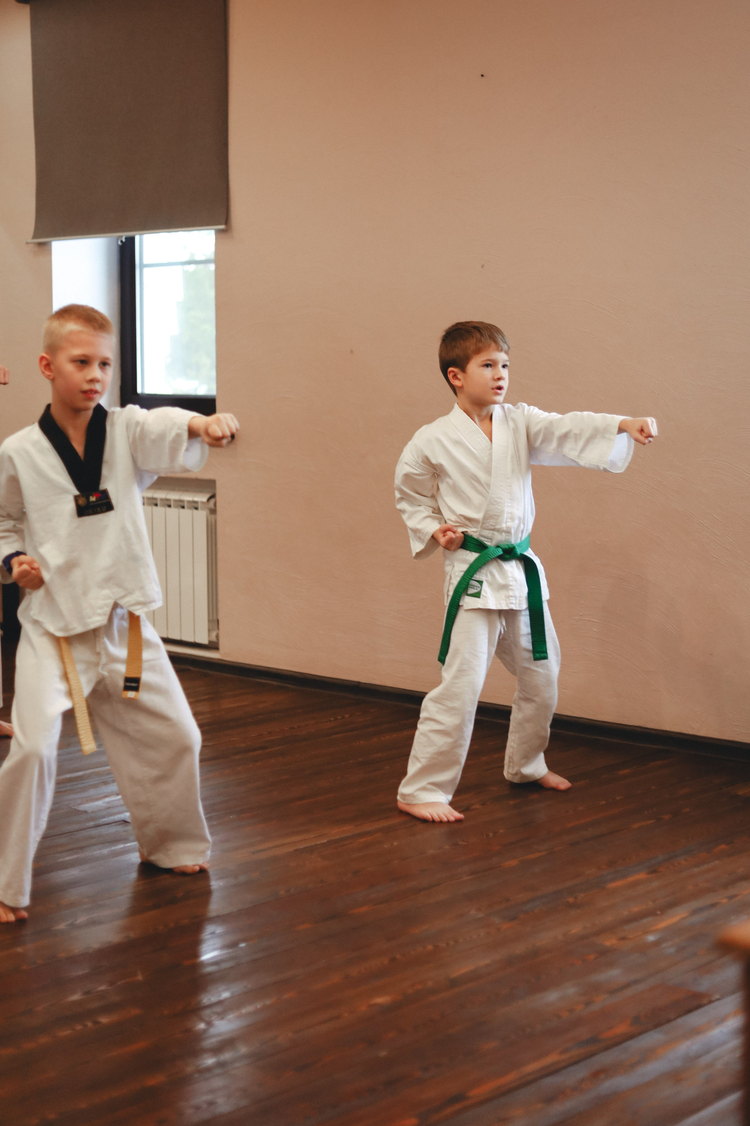 Тхэквондо Аттестация. Фотограф в Москве Бастракова Юлия