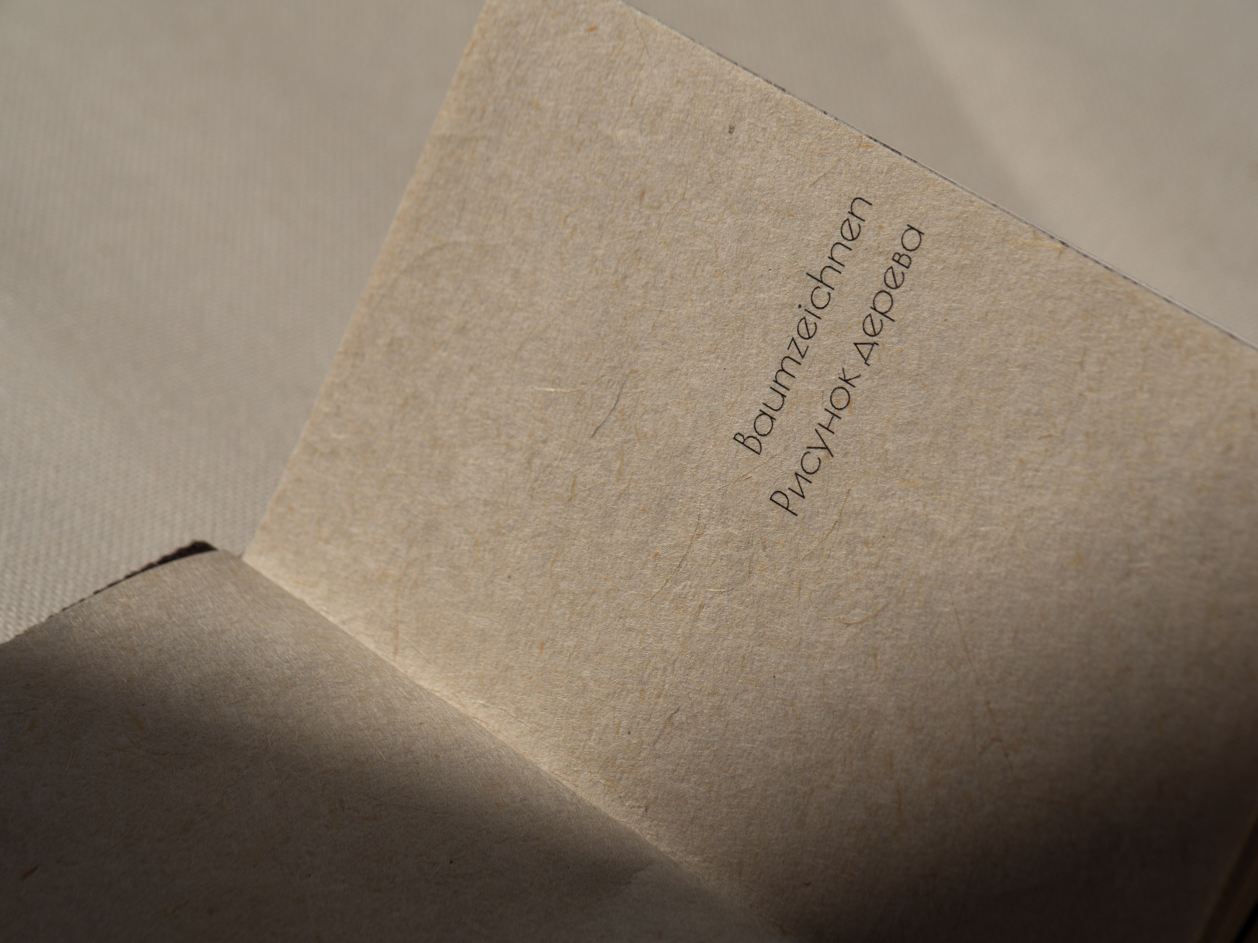 Drawing a tree. Ekaterina Shikhanova