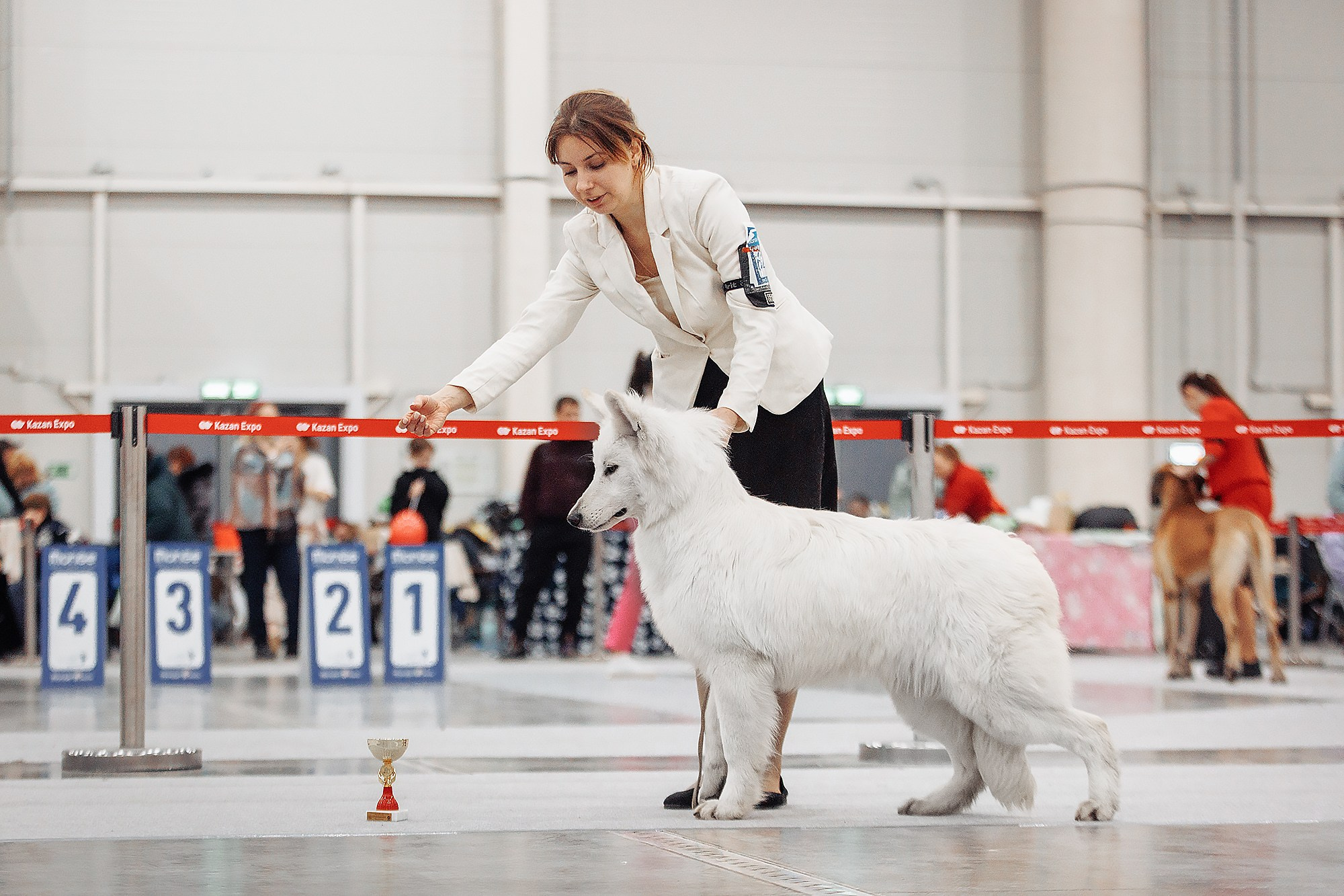 28-29.01.2023 — Казань «Сабанеевка». Фотограф-анималист Саша Вязьмина