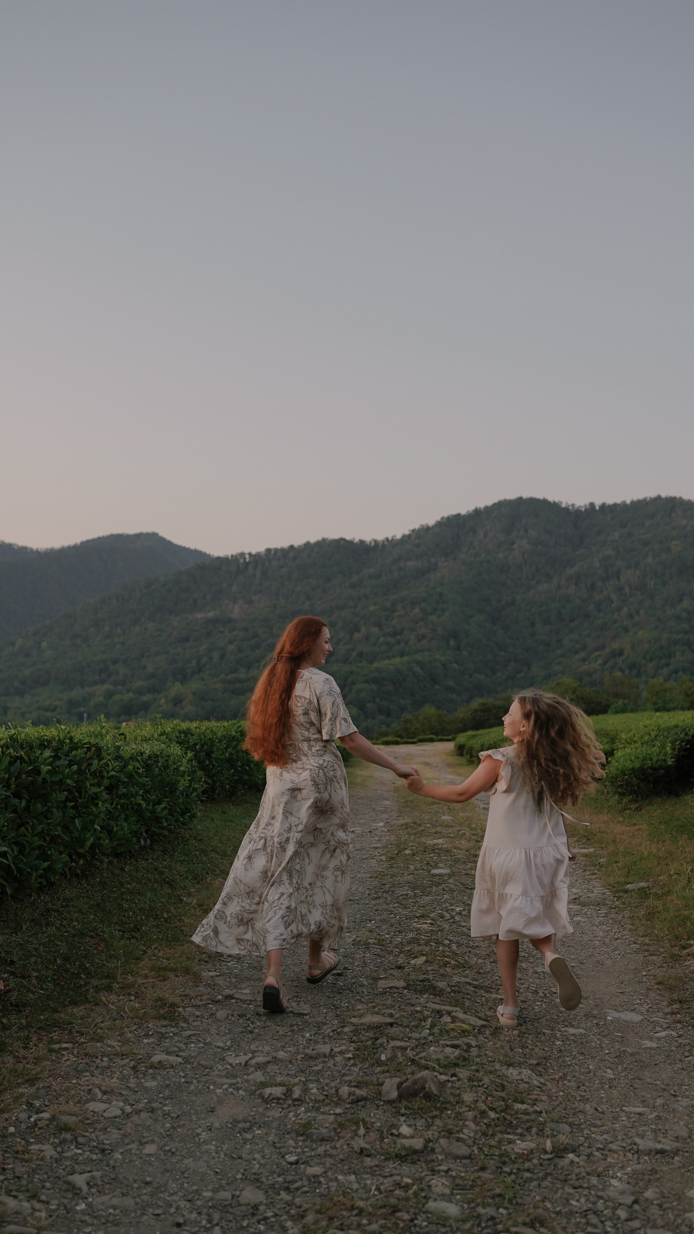 Чайные плантации. Милана Довгаль - семейный фотограф и видеограф  в Адлере и Сочи