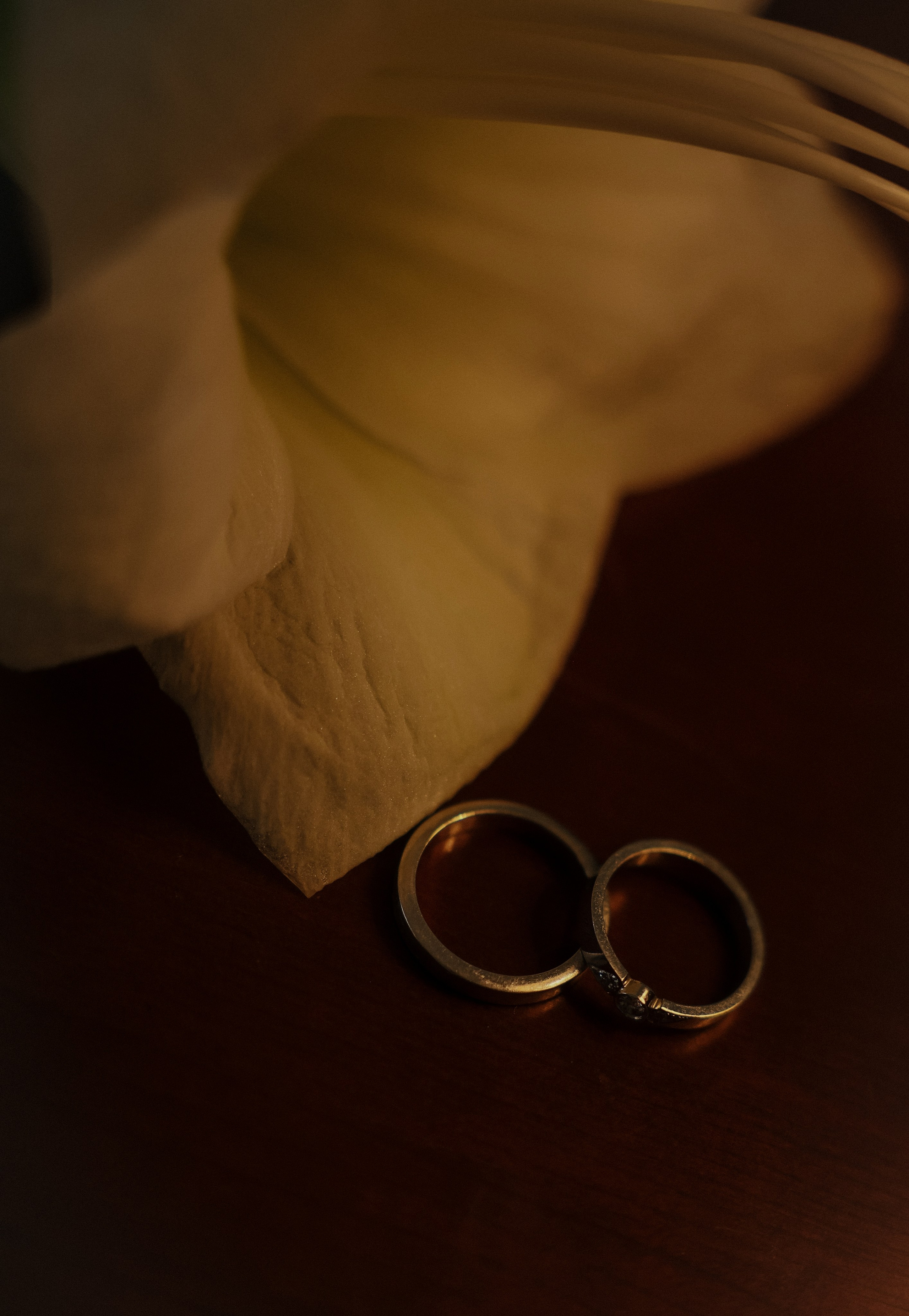 Саша и Диана. Семейный и свадебный фотограф в Пензе Валерия Филюкова