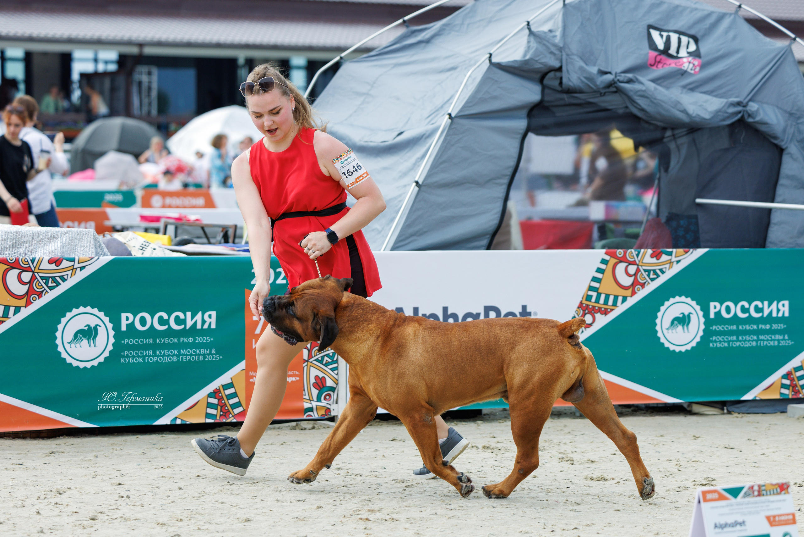 РОССИЯ 7-8.06.2025. Фотограф-анималист Юлия Германика