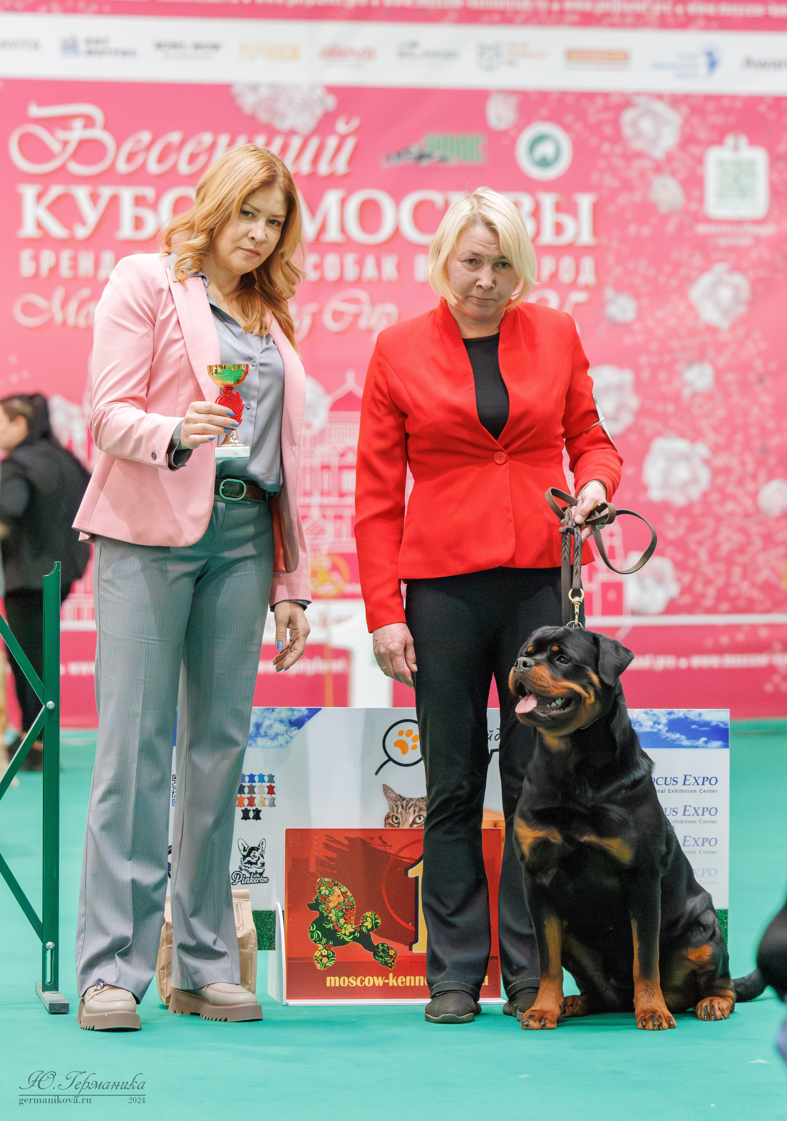 Сфера и Крокус 8,9,16 и 30.03.2025. Фотограф-анималист Юлия Германика