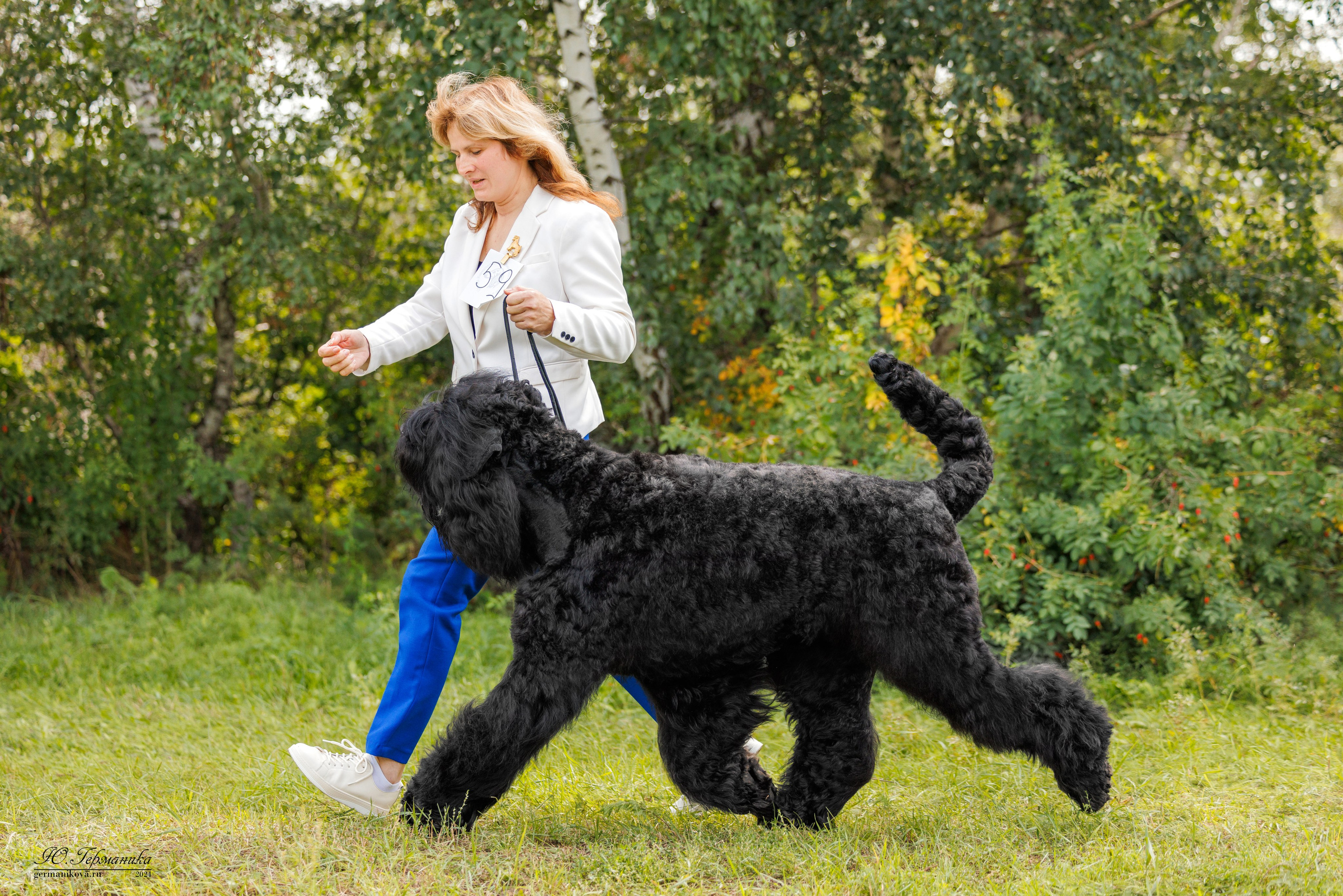 Астана 2хCACIB 17-18.08.2024. Фотограф-анималист Юлия Германика