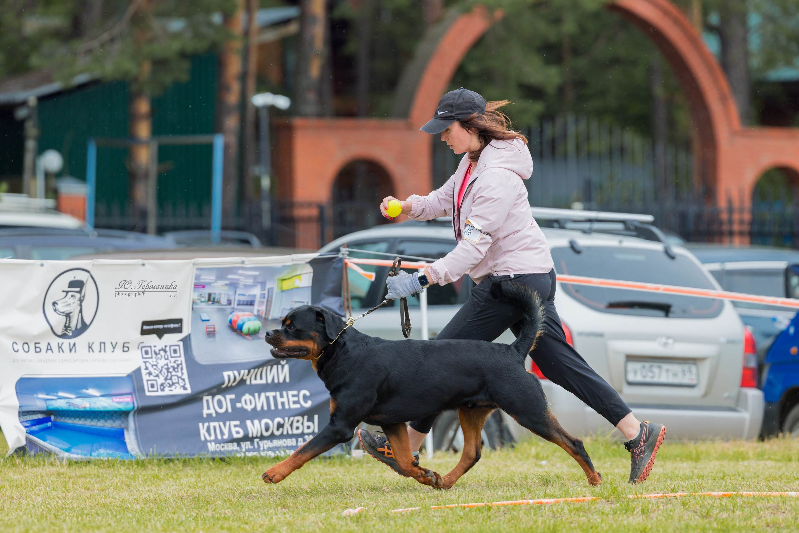 Тверь ротвейлеры 5-6.07.2025. Фотограф-анималист Юлия Германика