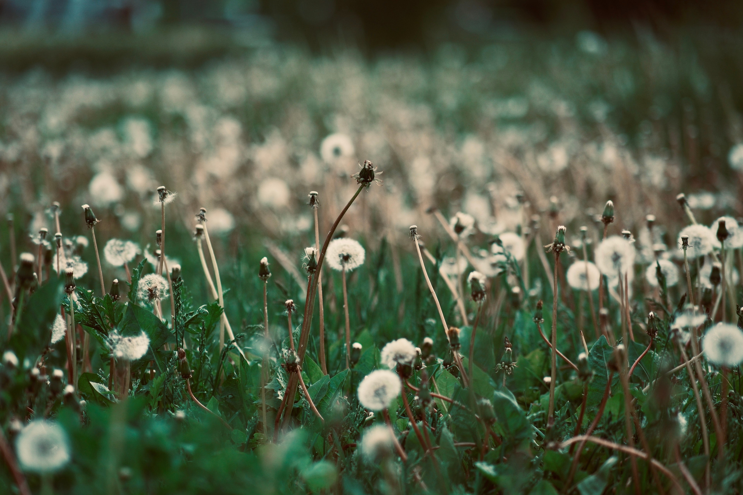 Фотограф Москва. Фотограф и художник в Москве Евгения Нюнина