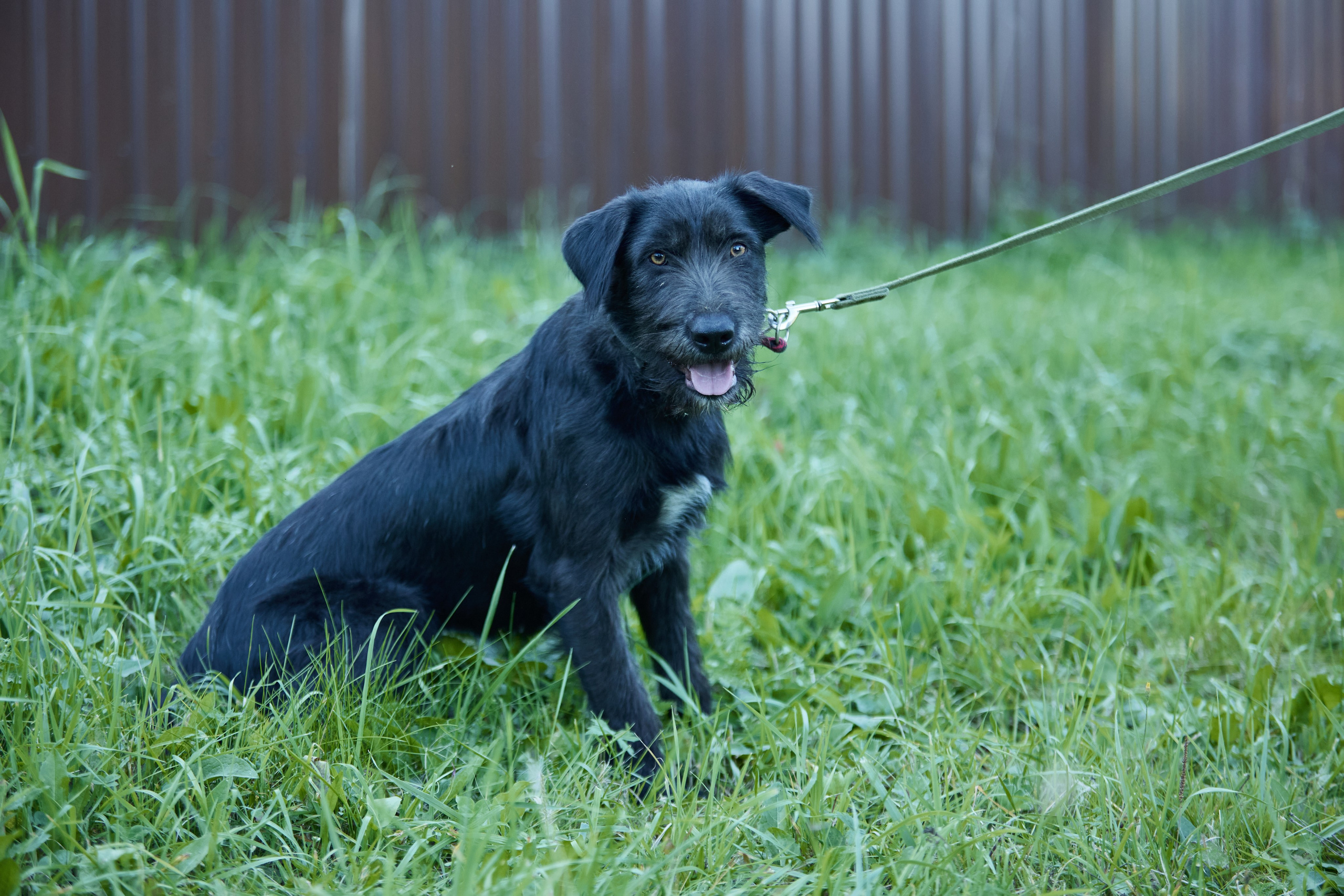 Пиар. Фотограф Ирина Астор