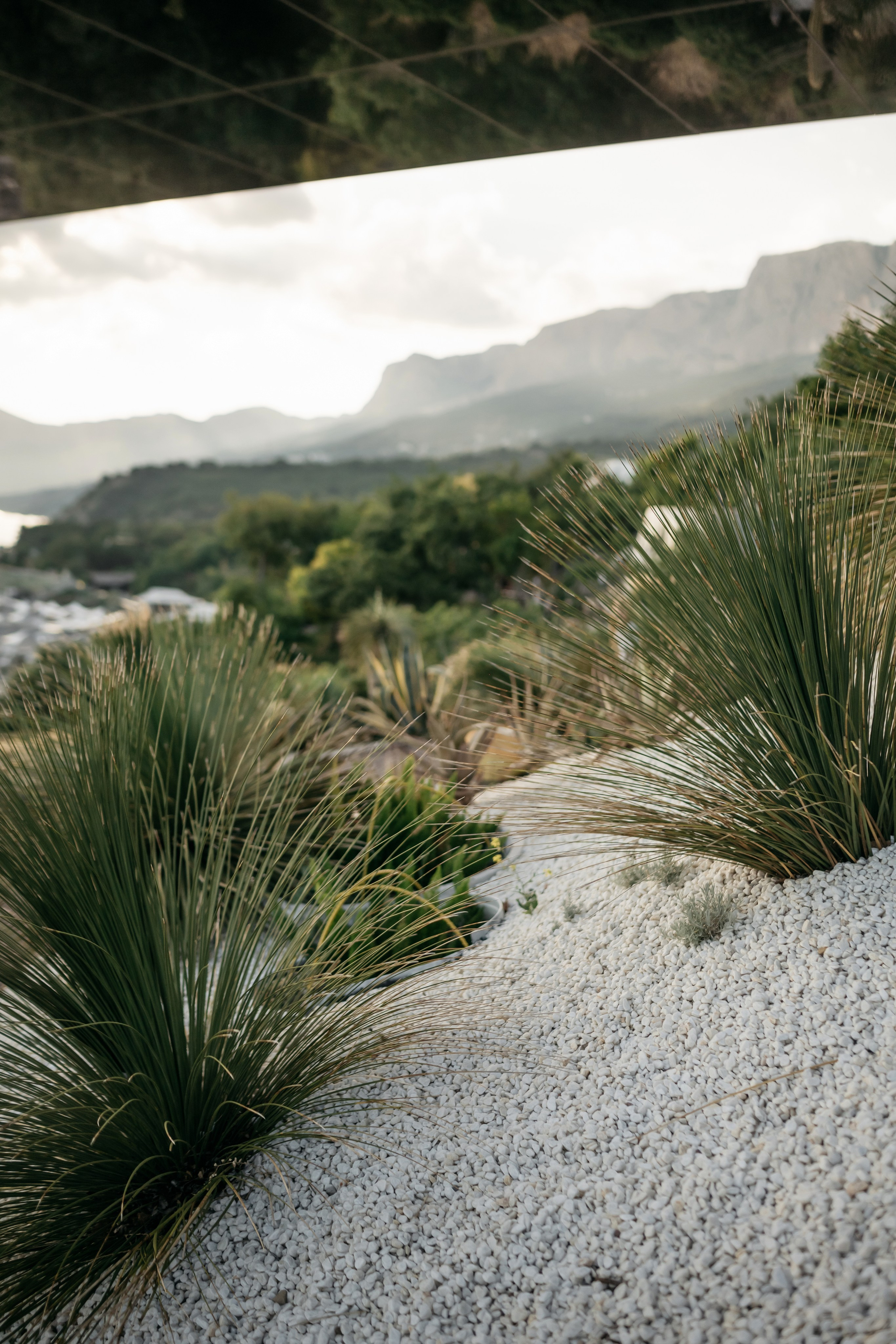 Свадьба в Винном парке в Крыму. Свадебный и семейный фотограф и видеограф, Крым, Москва, Санкт -Петербург