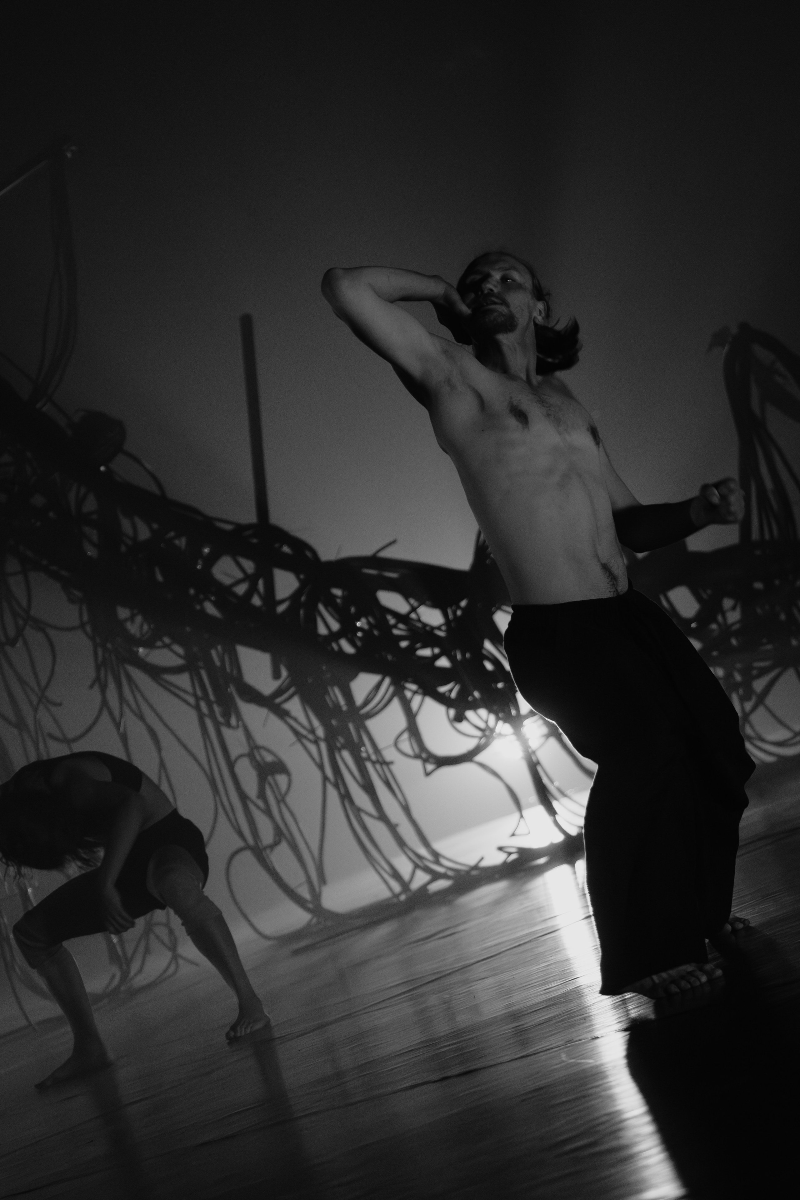 PERFORMA, The Hour of the Horse. @tomrus: Рустам Шагиморданов — фотограф