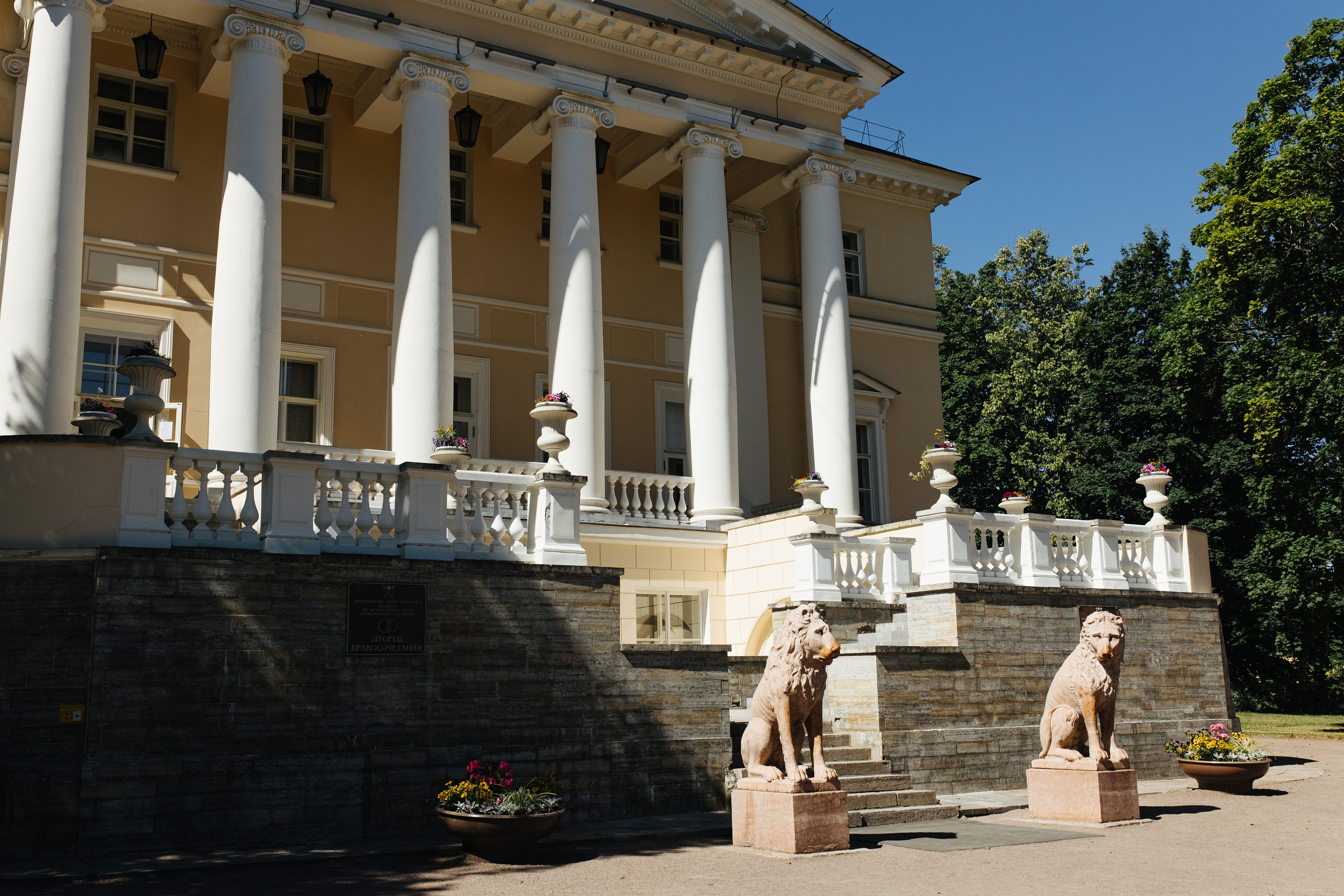 Горько!. Свадебный и семейный фотограф в Санкт-Петербурге и Москве