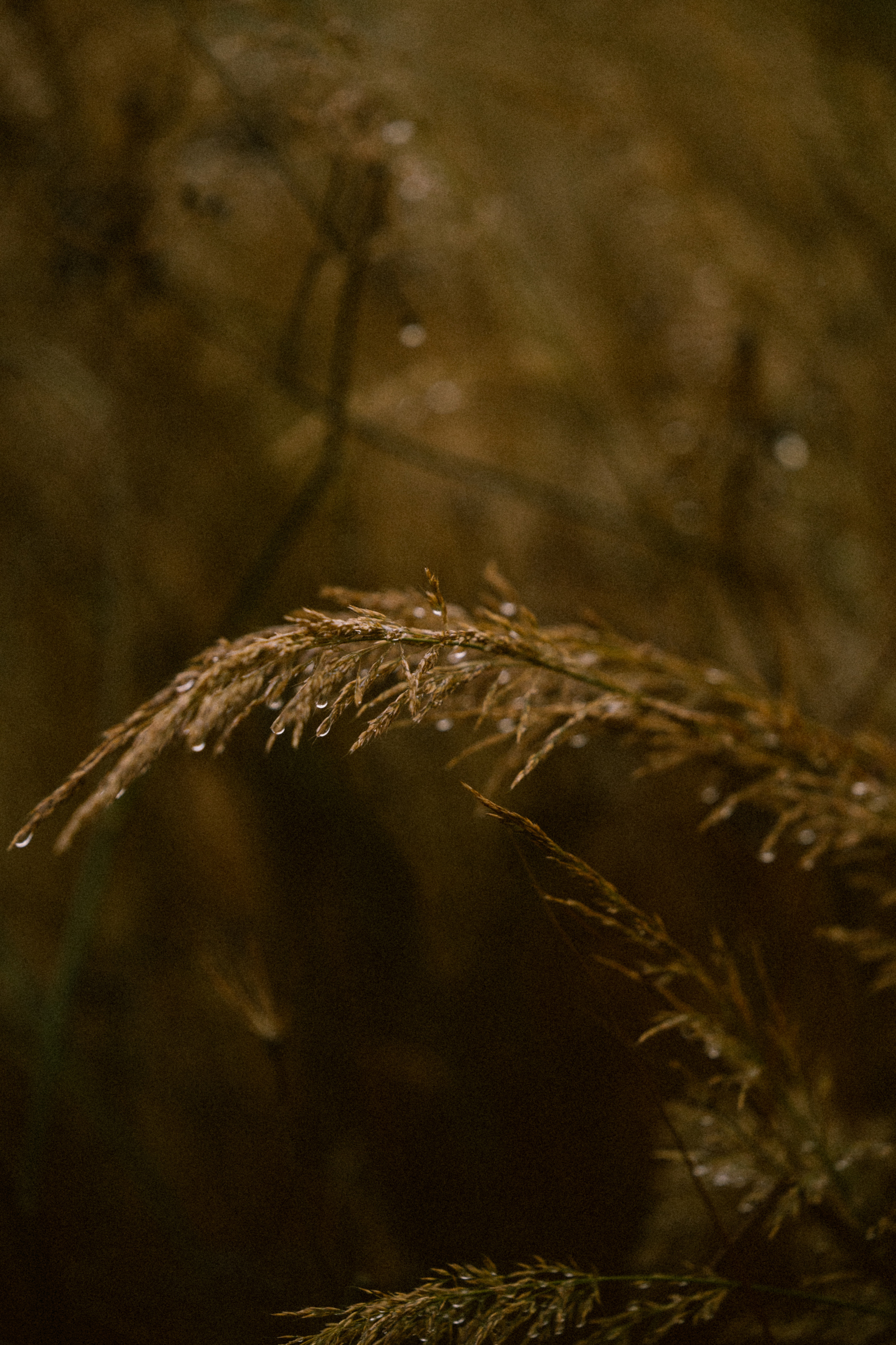 Сообщество. Свадебный и семейный фотограф в Санкт-Петербурге и Москве