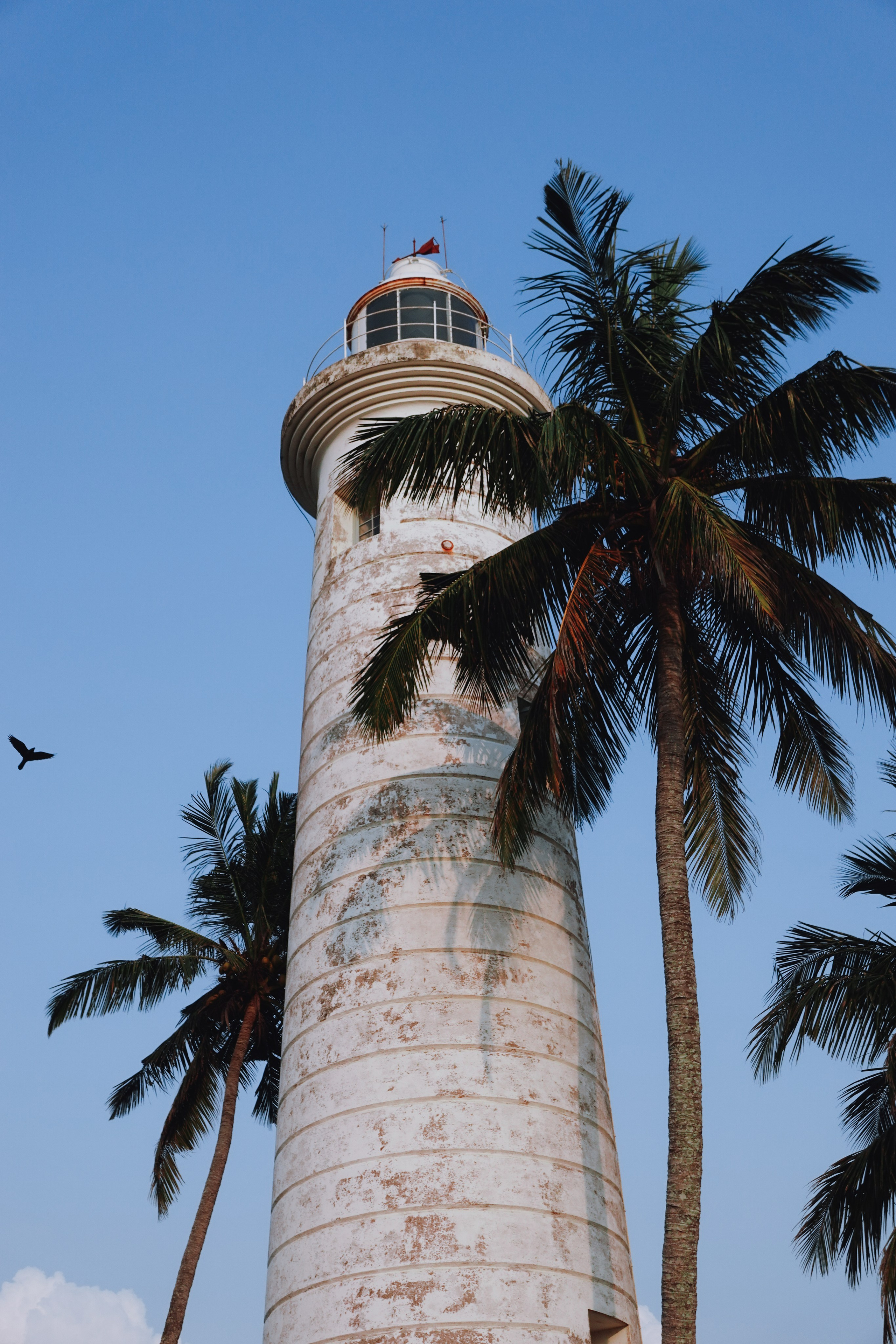 Шри-Ланка. Фотограф Алиса Аспер