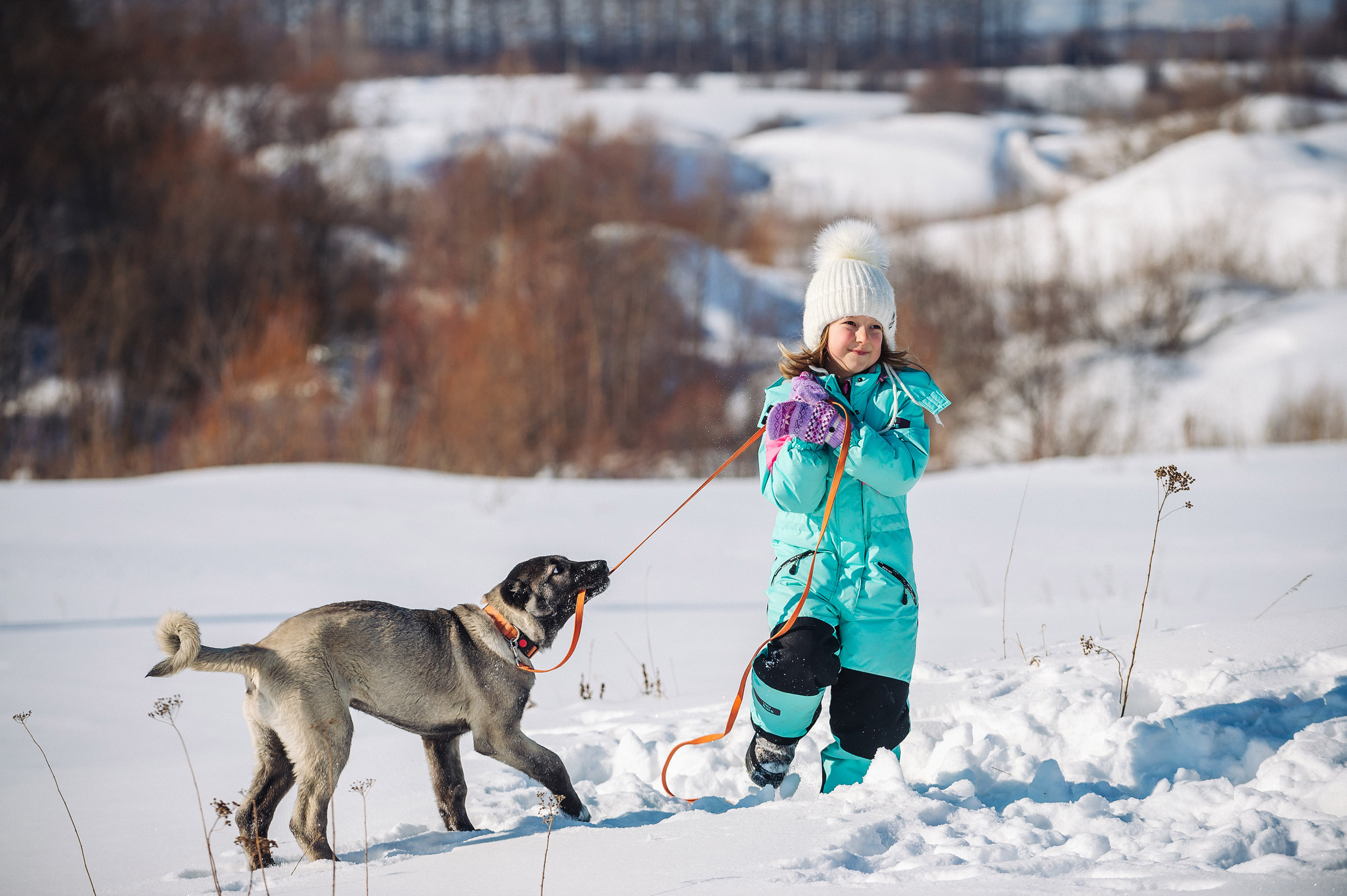Съмка собак. Спортивный фотограф в Уфе Евгений Буров