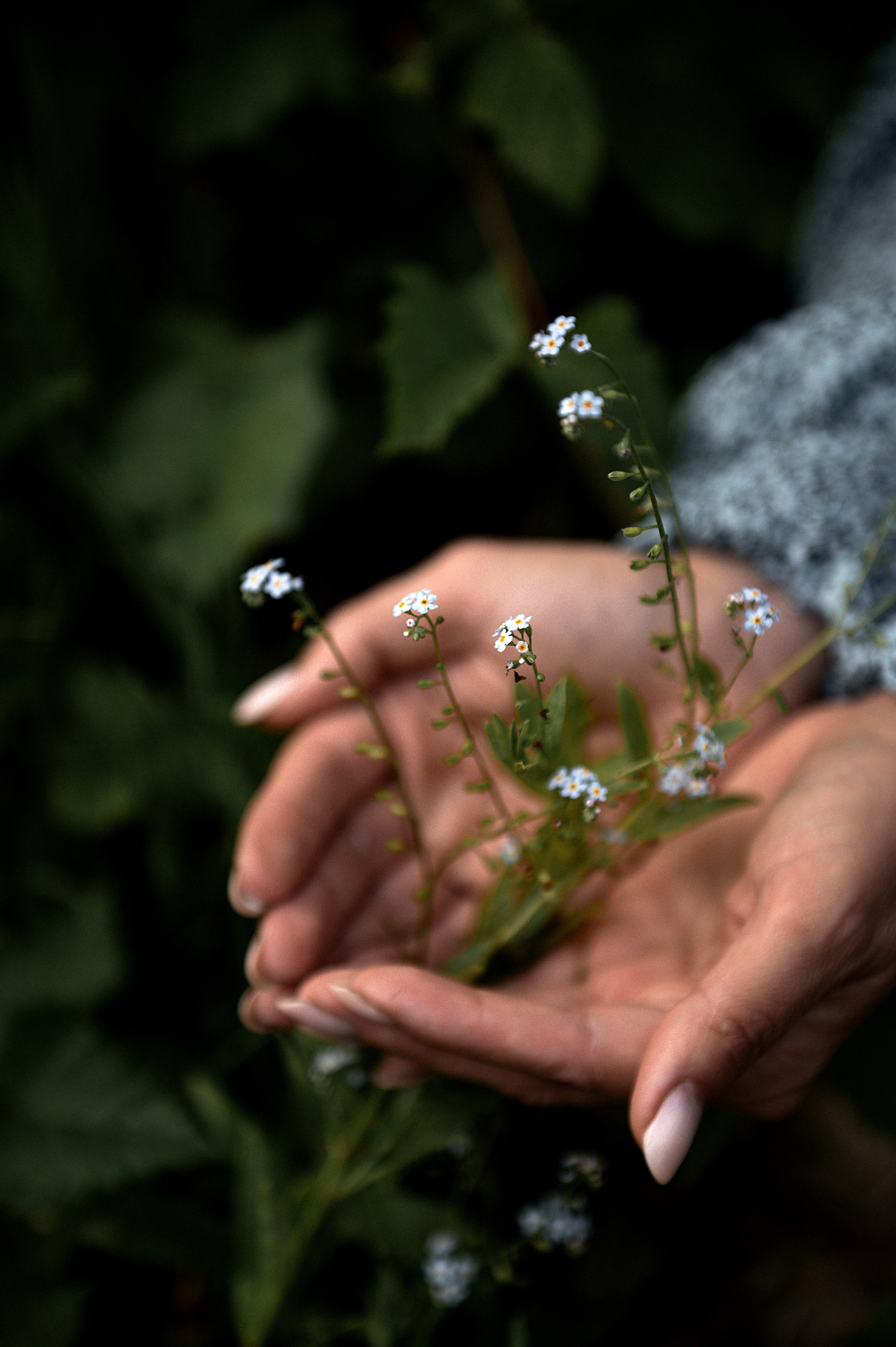Катя июль 2024. Спортивный фотограф в Туле и Тульской области. Файсханова Фото Спорт