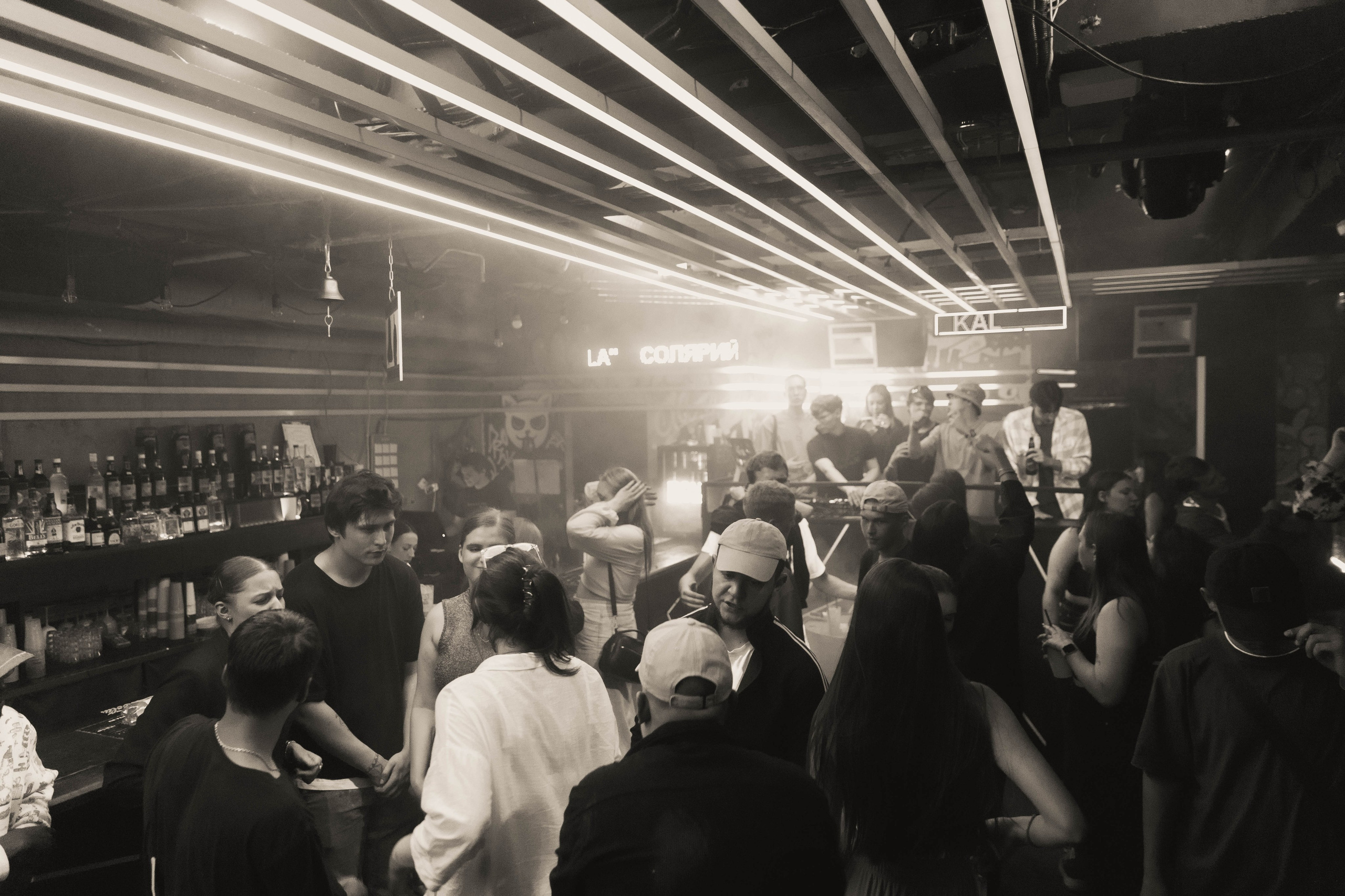 Mishka-bar 4. _Carpe diem_