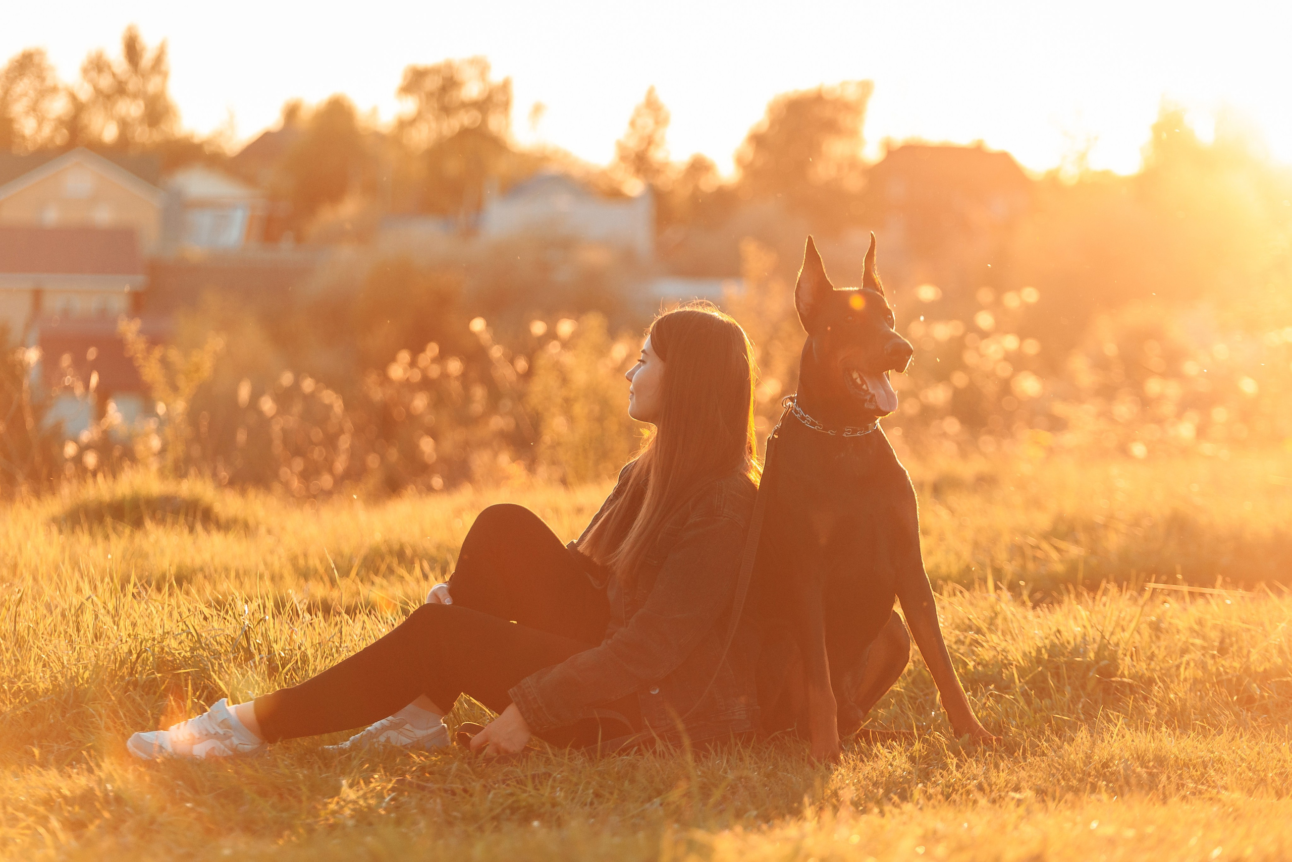 Юля, Андрей и Арес. Фотограф-анималист Анастасия Парфенова|Екатеринбург