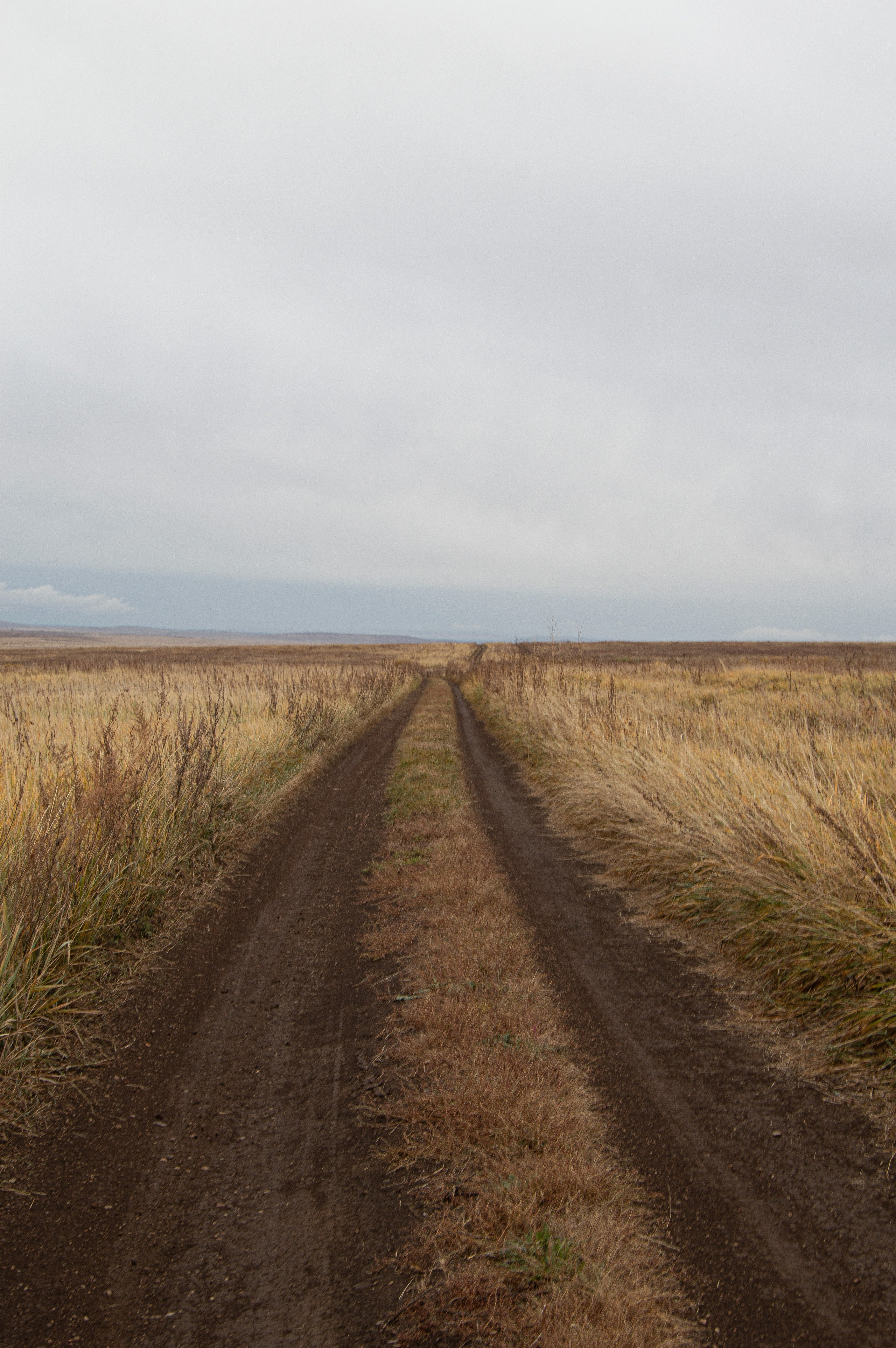 Природа. Фотограф Юлия Левандовская, п.Ясногорск