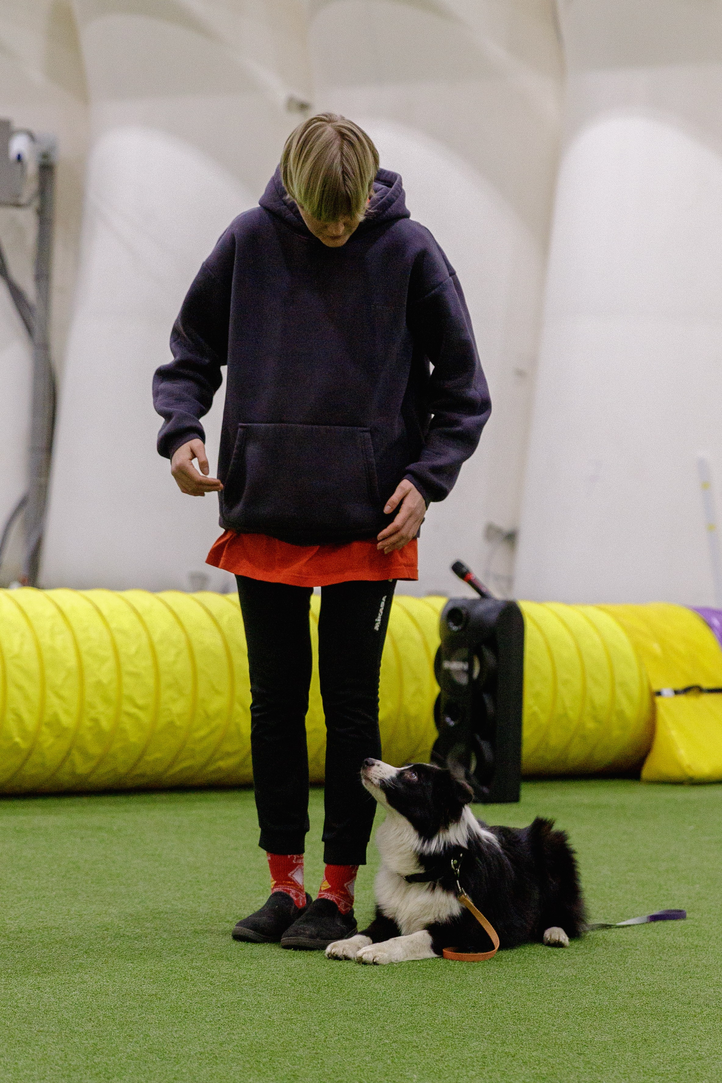 Кубрау. BLGKV питомник собак