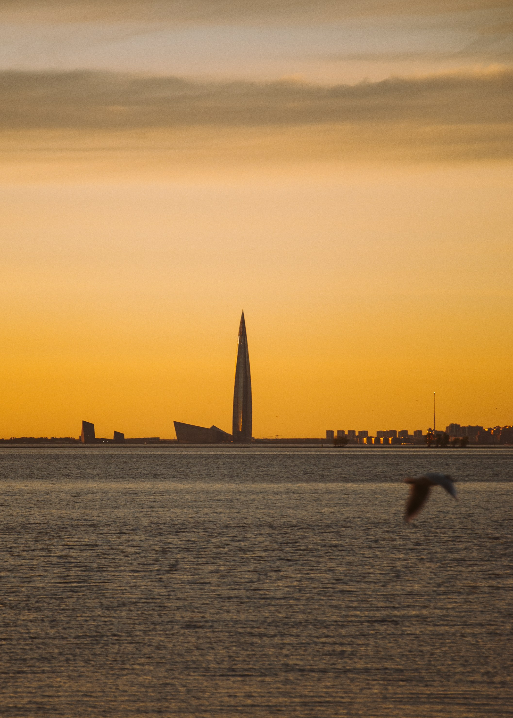 Закаты Питера. Портретный фотограф DanilNabody